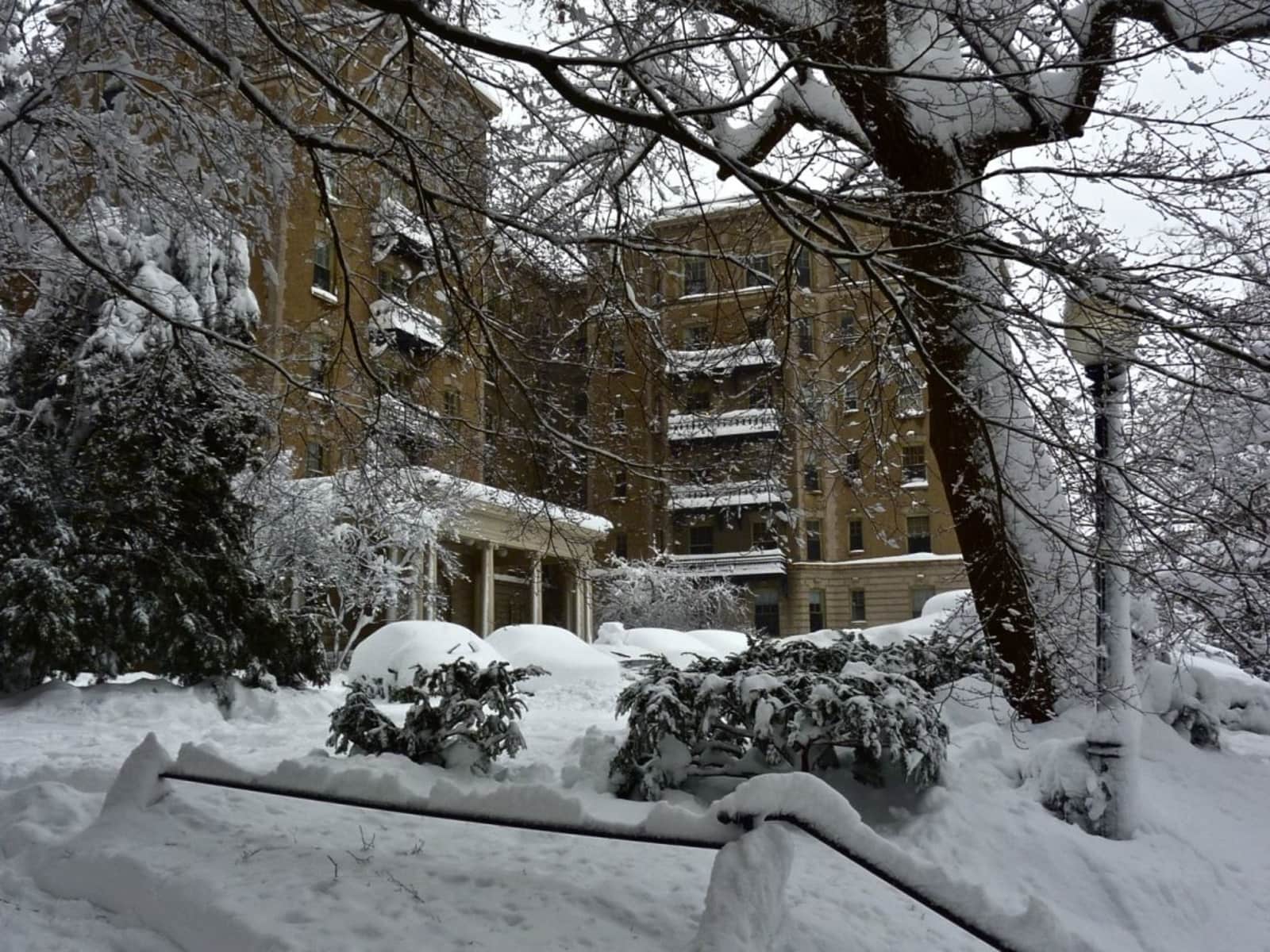 Housesitting assignment in Washington, D.C., Washington, D.C., United States