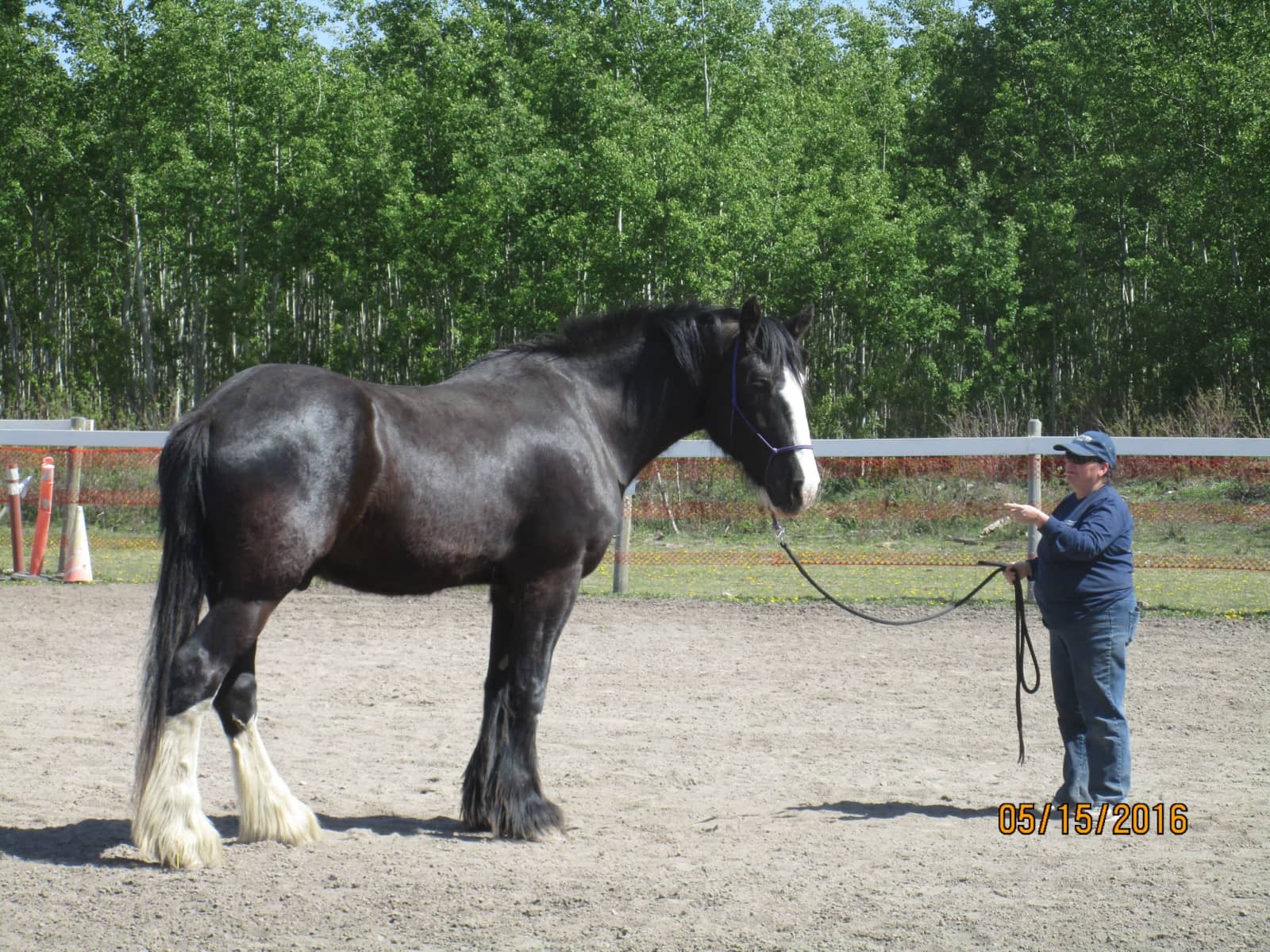 Marion from Valleyview, Alberta, Canada