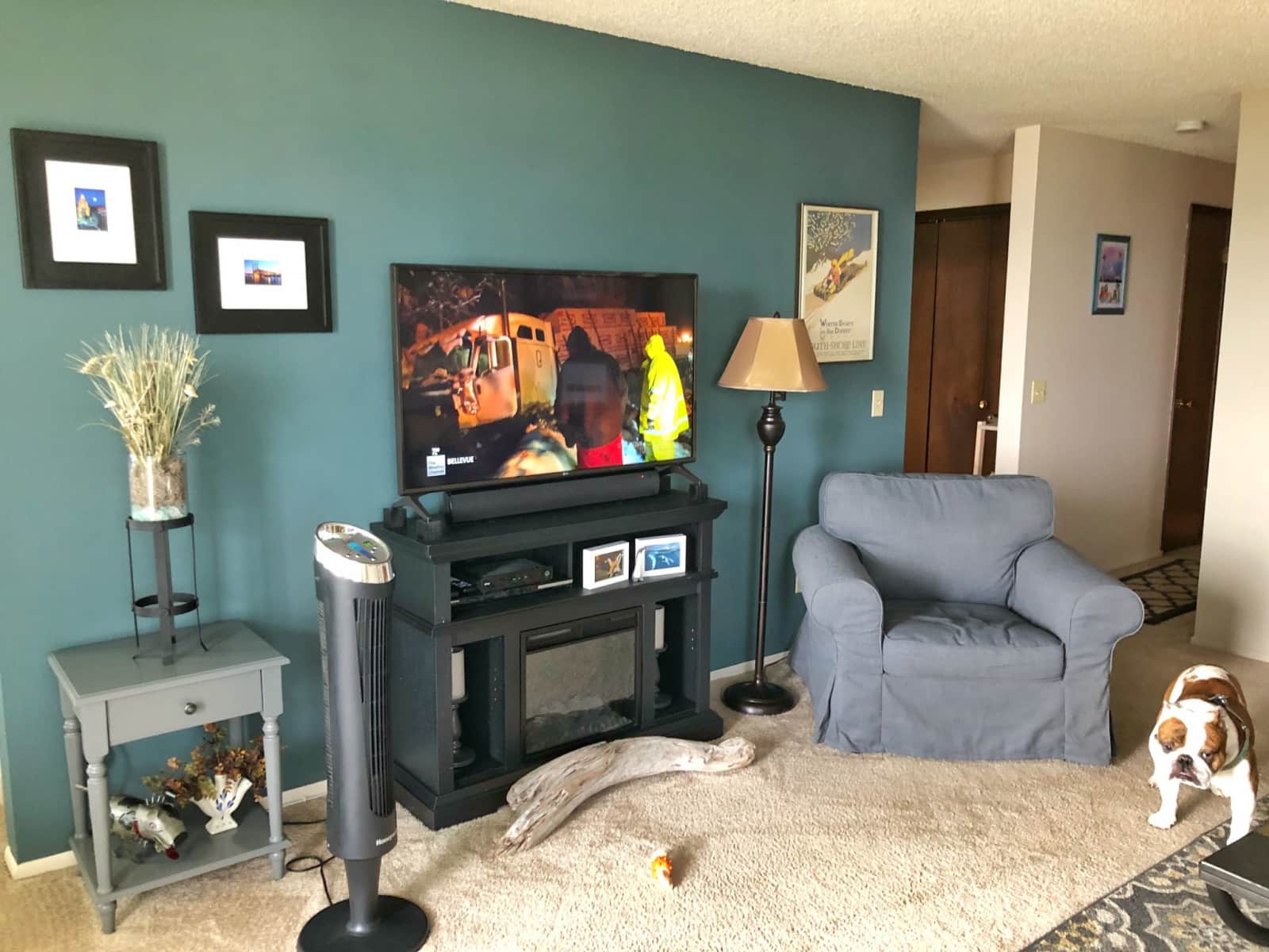 Housesitting assignment in Seattle, Washington, United States