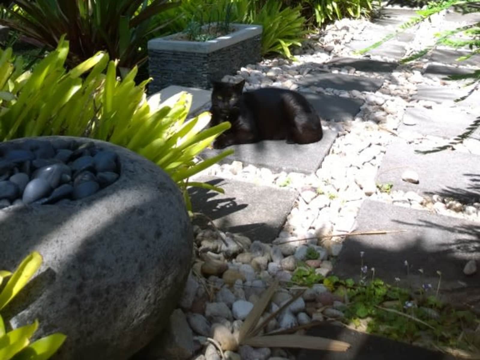 Housesitting assignment in Upper Kedron, Queensland, Australia