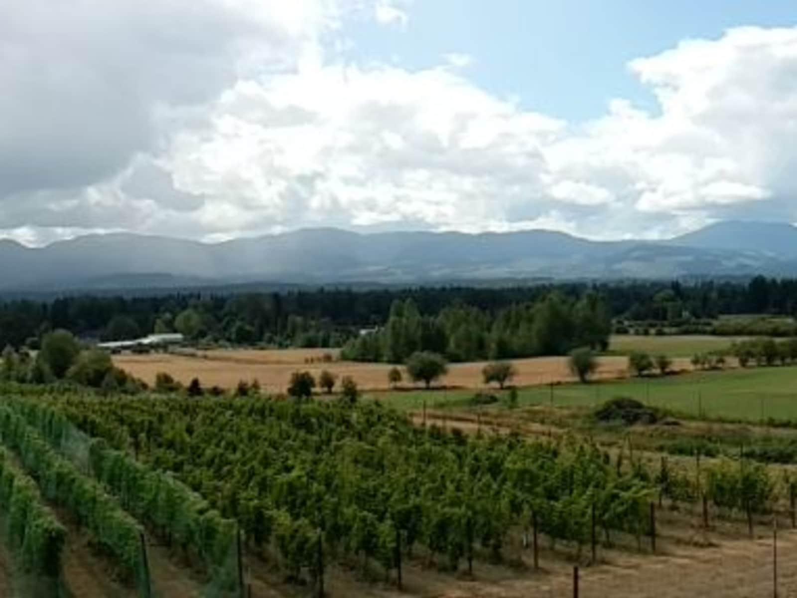 Housesitting assignment in Courtenay, British Columbia, Canada
