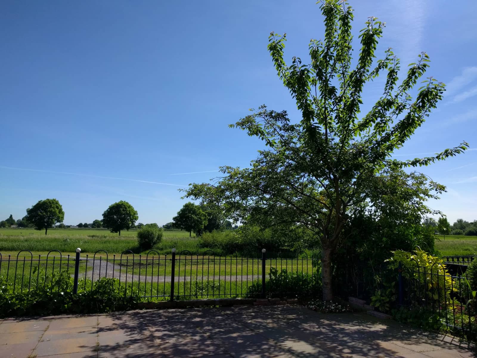 Housesitting assignment in Haarlem, Netherlands