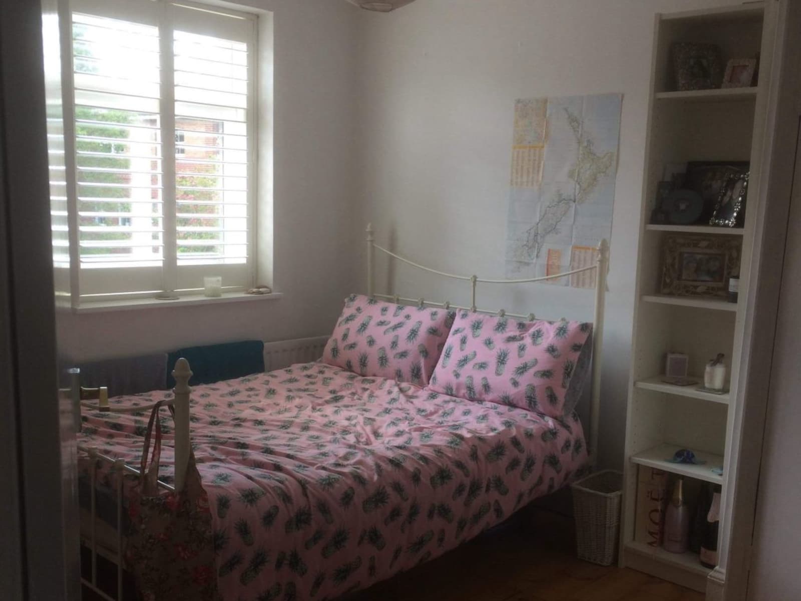 Housesitting assignment in Winchester, United Kingdom