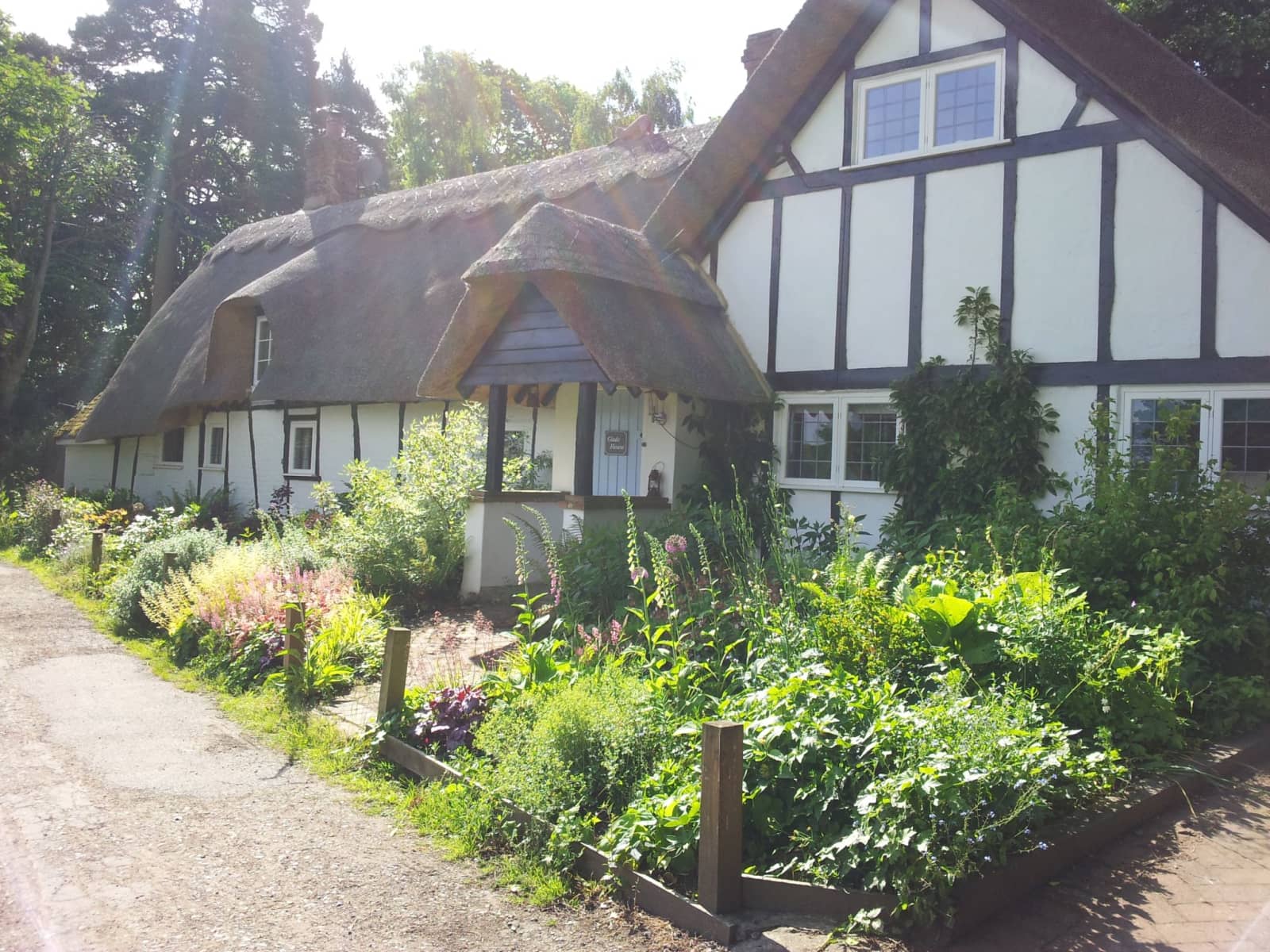 Housesitting assignment in Milton Keynes, United Kingdom