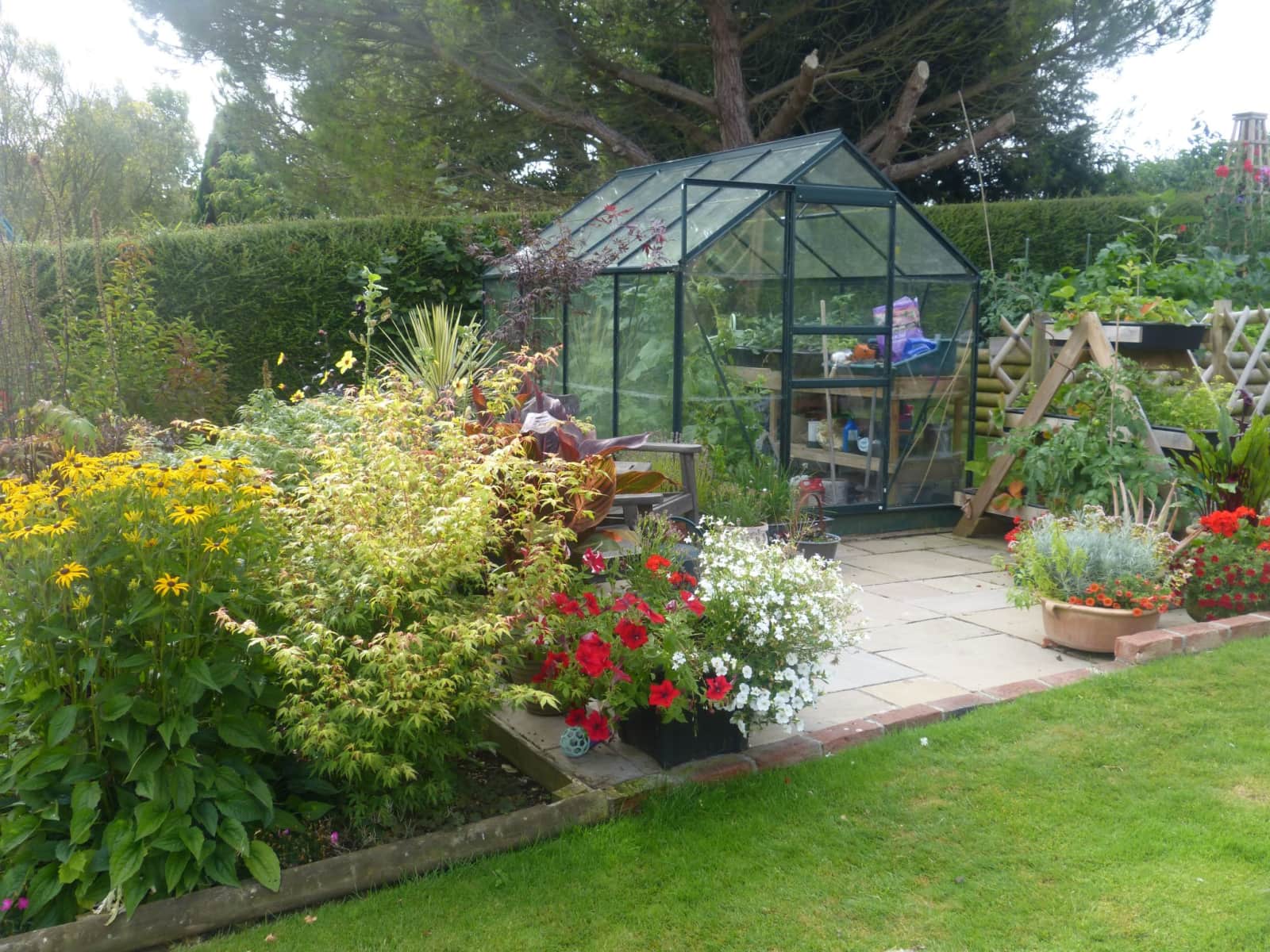 Housesitting assignment in Canterbury, United Kingdom