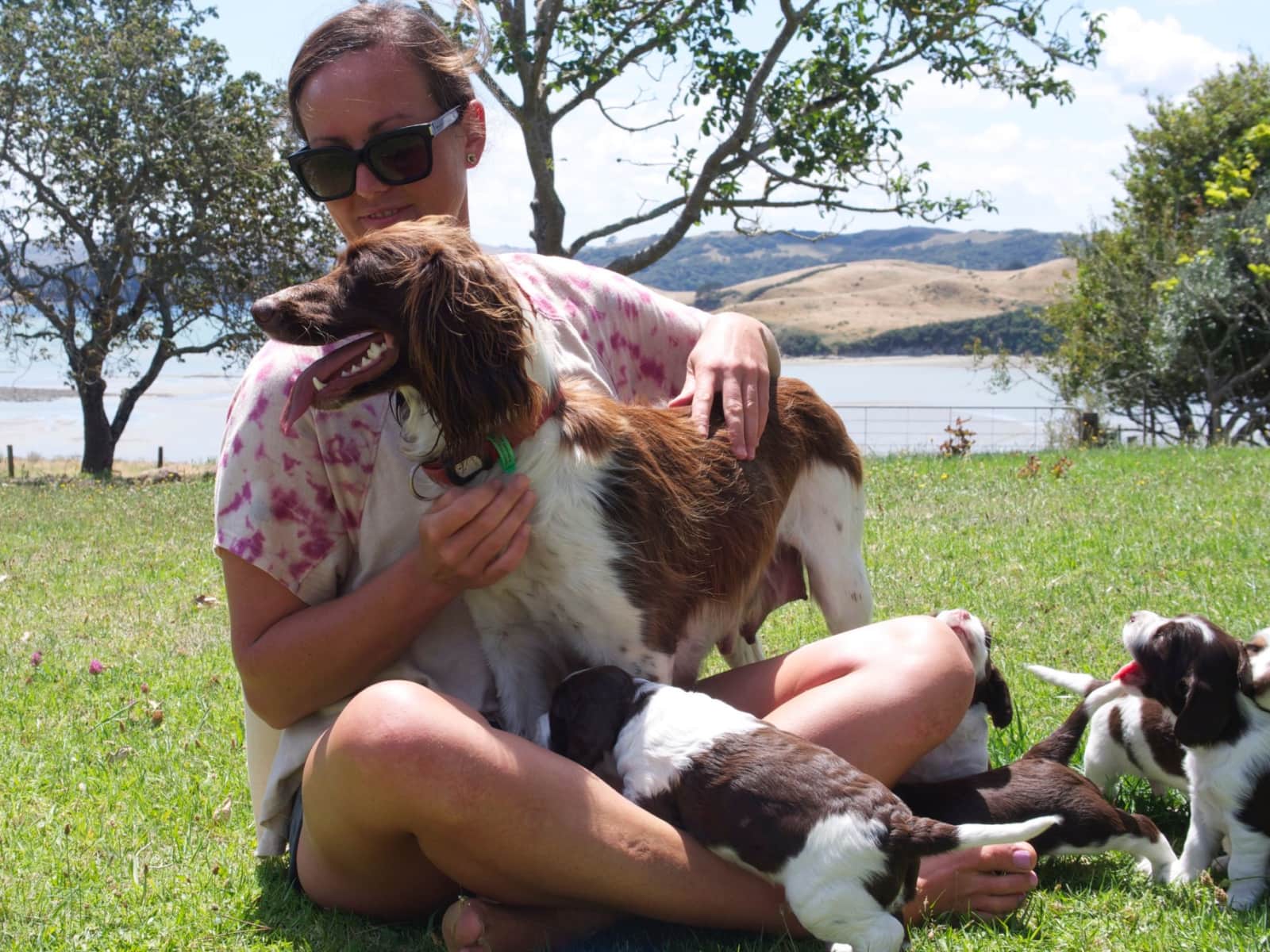Clare from Cambridge, New Zealand