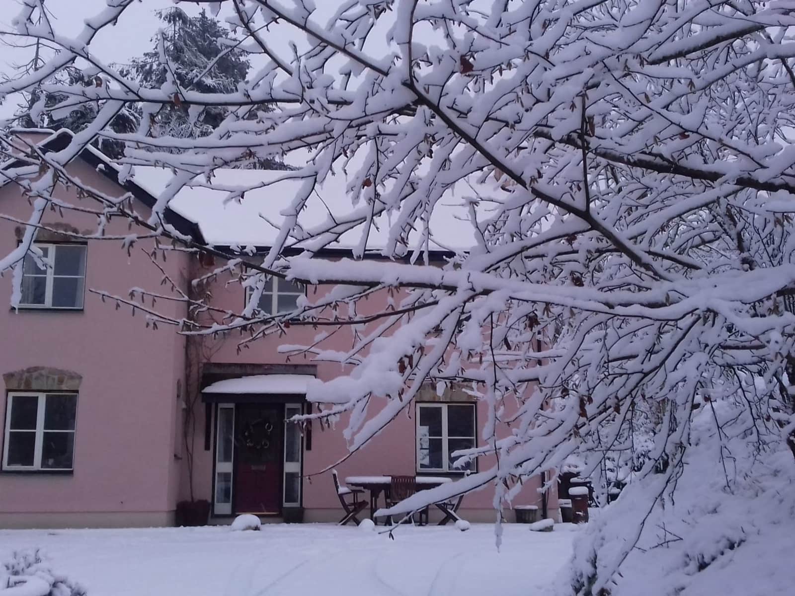 Housesitting assignment in Llandysul, United Kingdom
