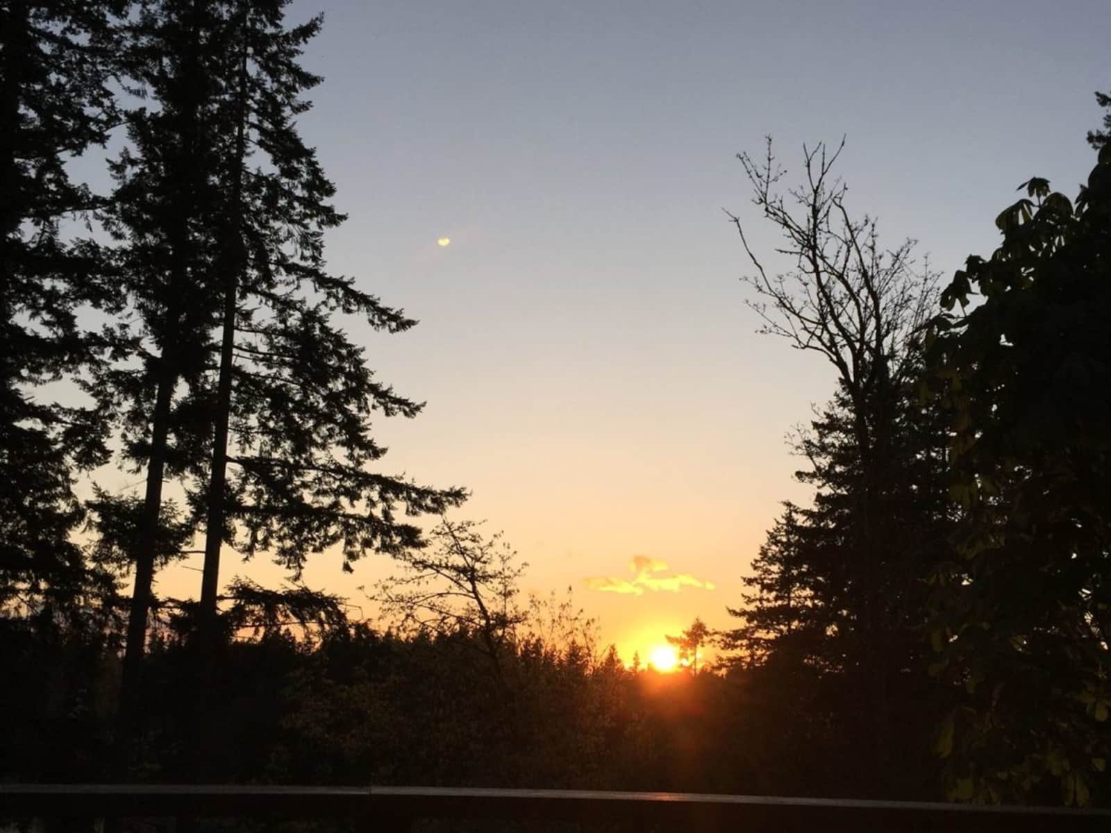 Housesitting assignment in Maple Valley, Washington, United States