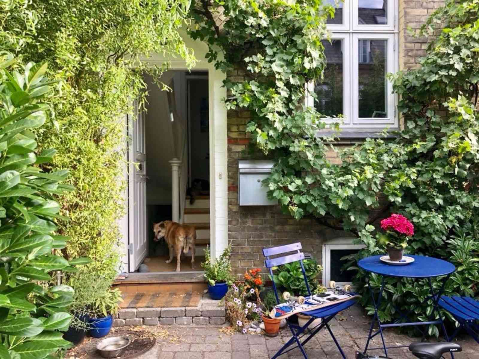 Housesitting assignment in Copenhagen, Denmark