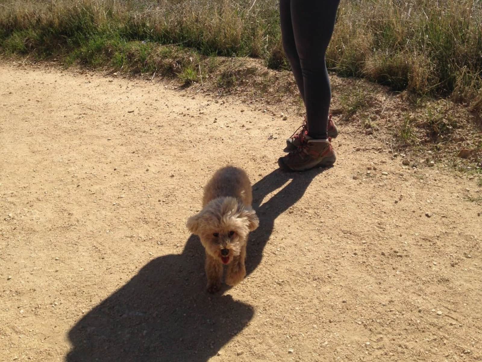 Ashley from Los Angeles, California, United States