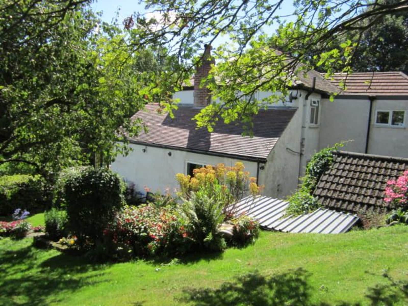 Housesitting assignment in Sheffield, United Kingdom