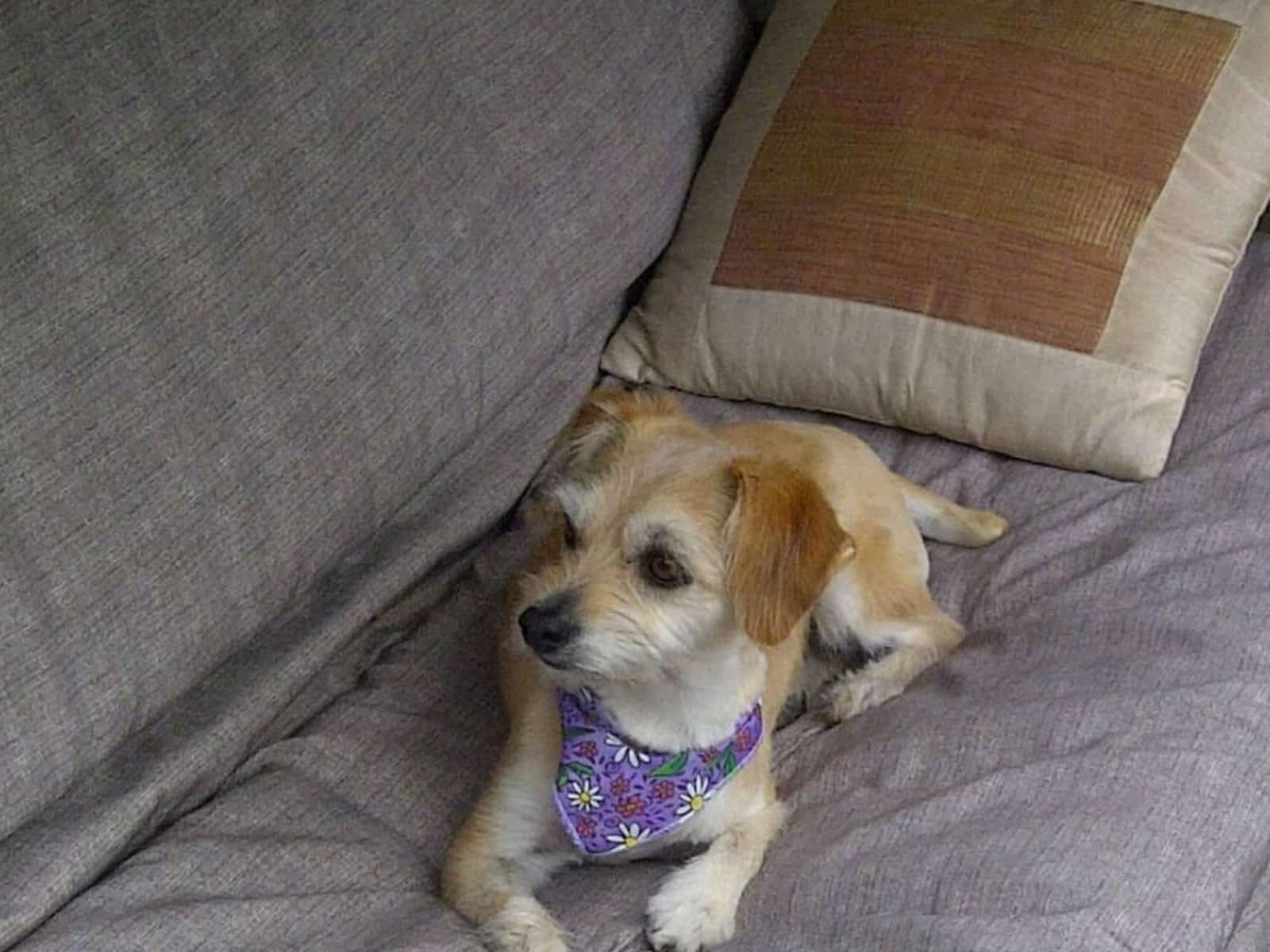 Cristina from Toronto, Ontario, Canada