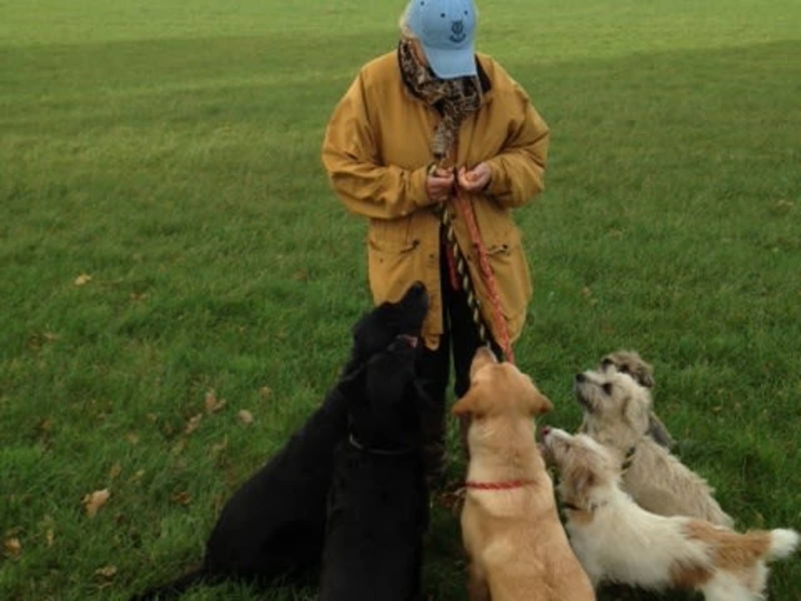 Caroline & Peter from Rye, United Kingdom