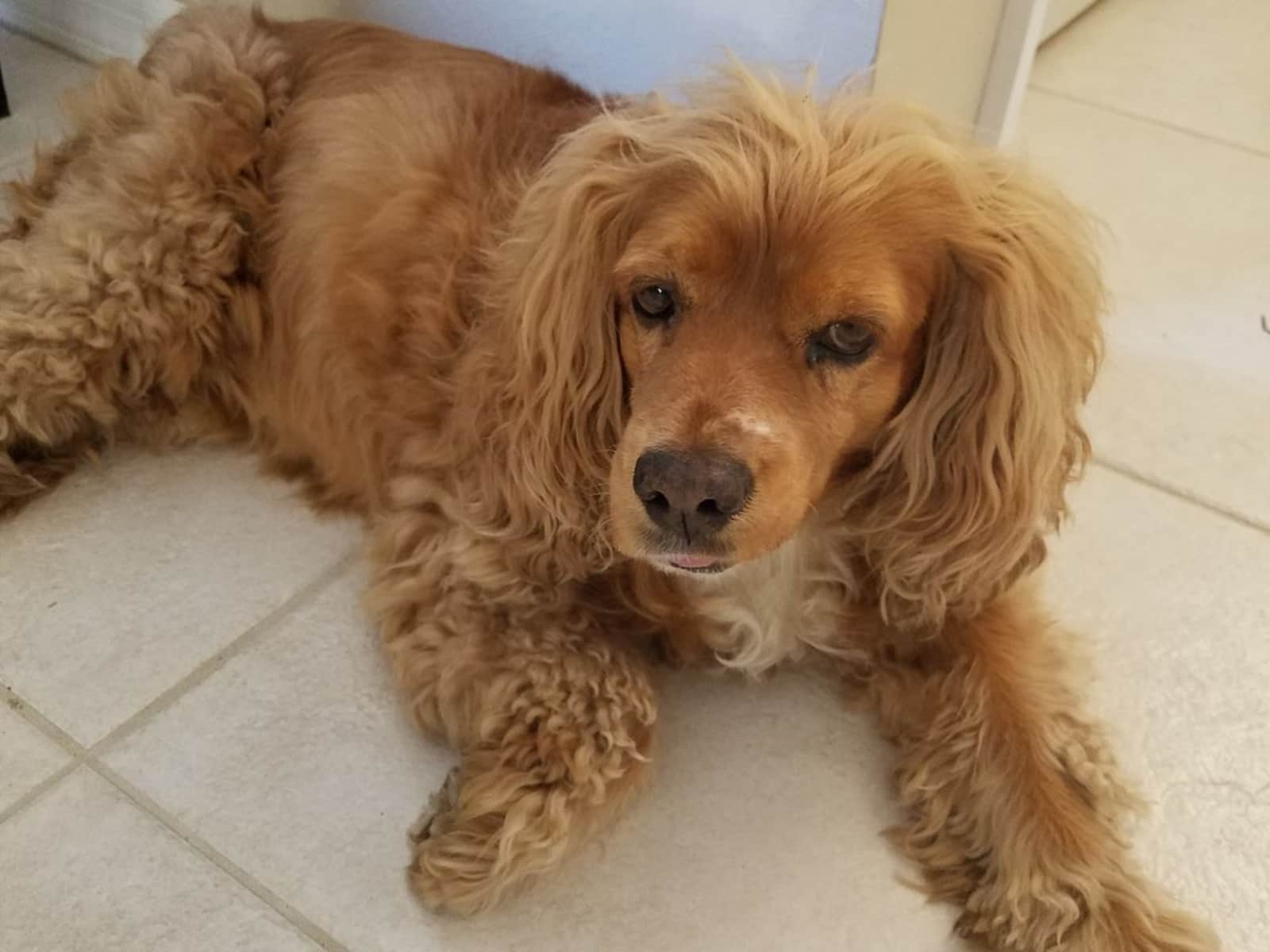 Vicki from Naples, Florida, United States