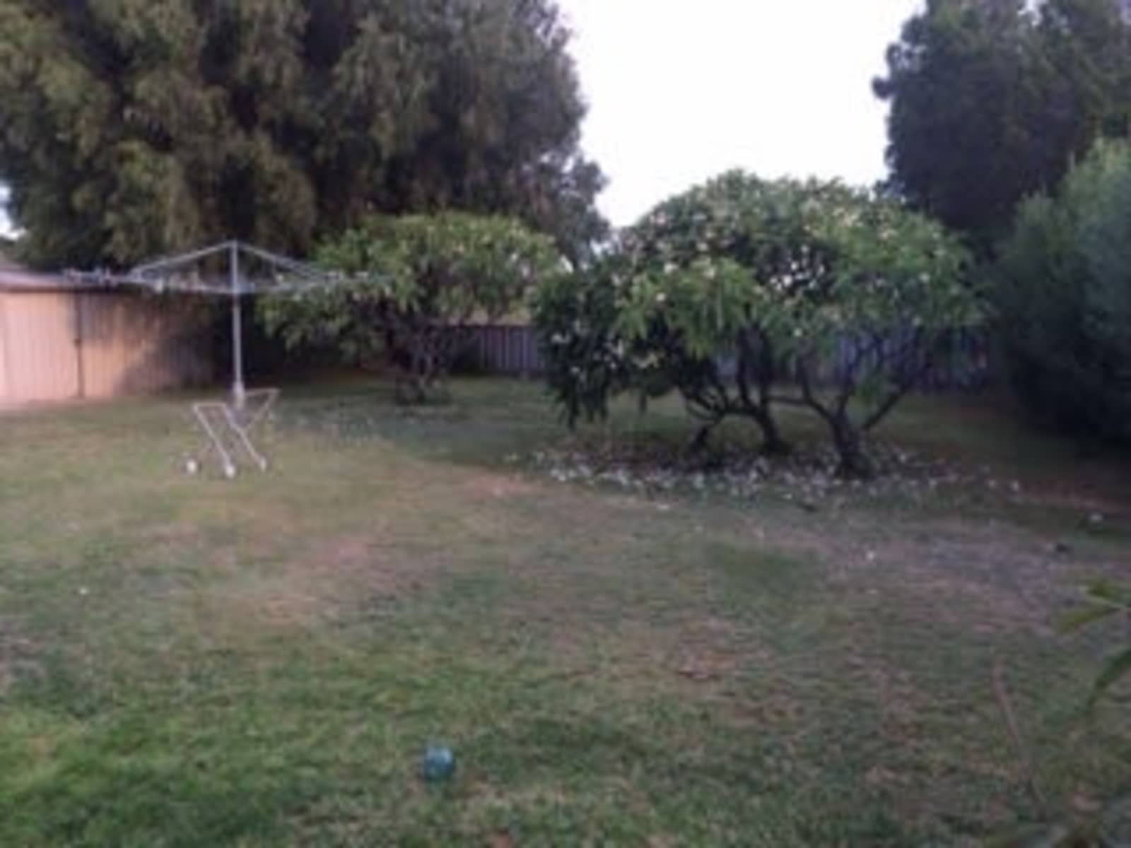 Housesitting assignment in Singleton, Western Australia, Australia