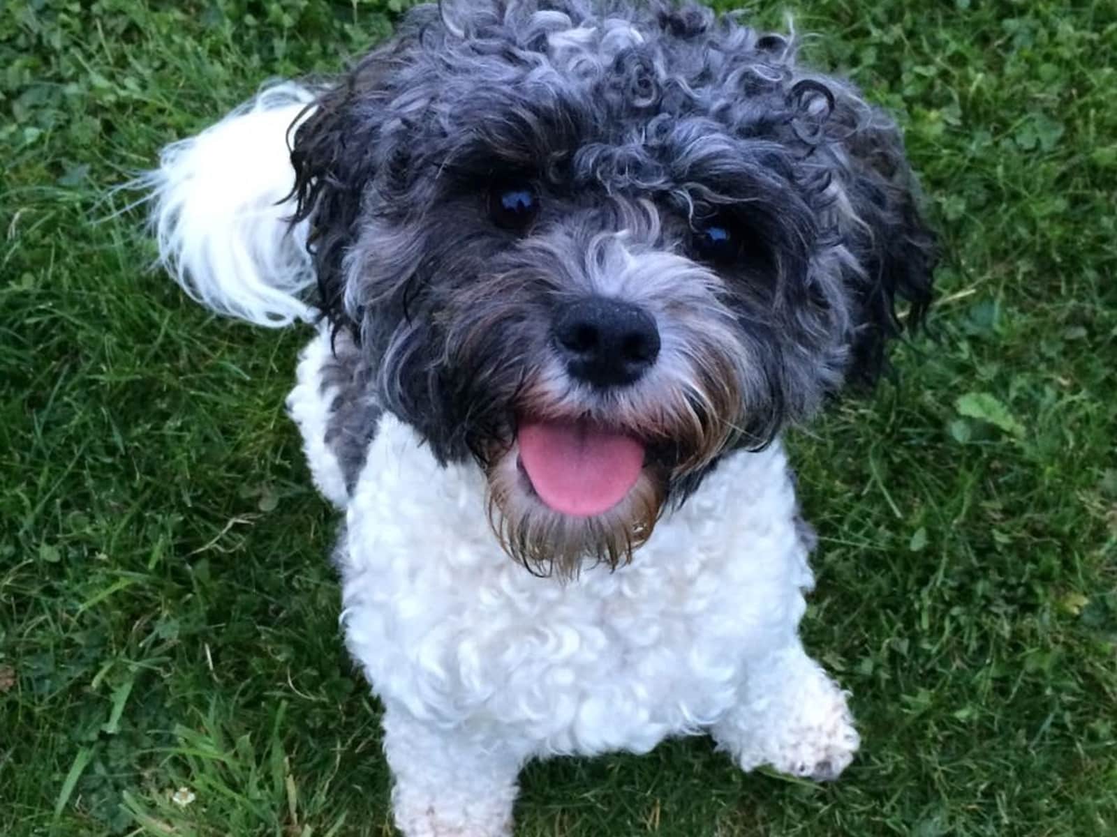 Suzi & Tom from Dublin, Ireland
