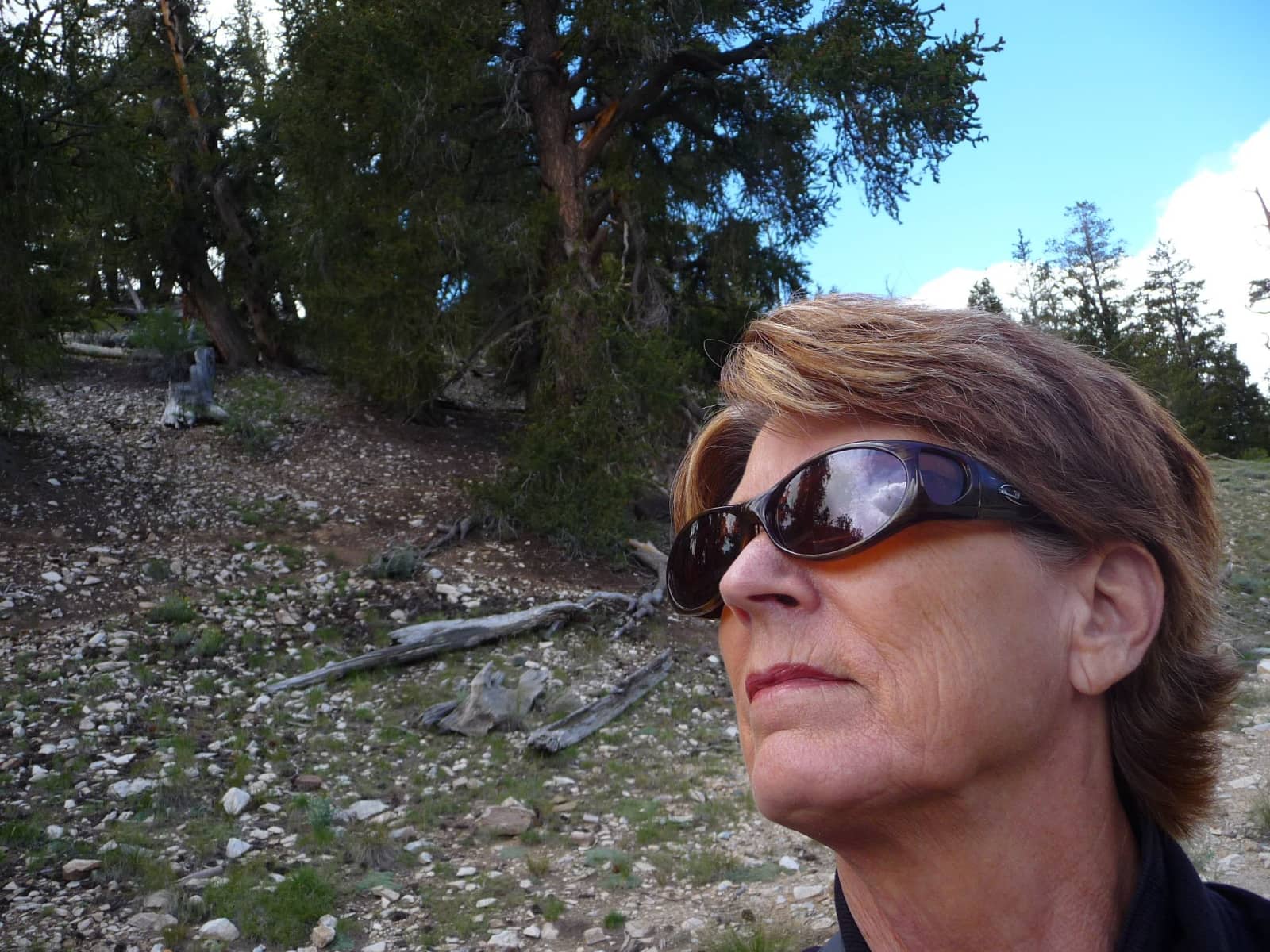Patsy from San Diego, California, United States