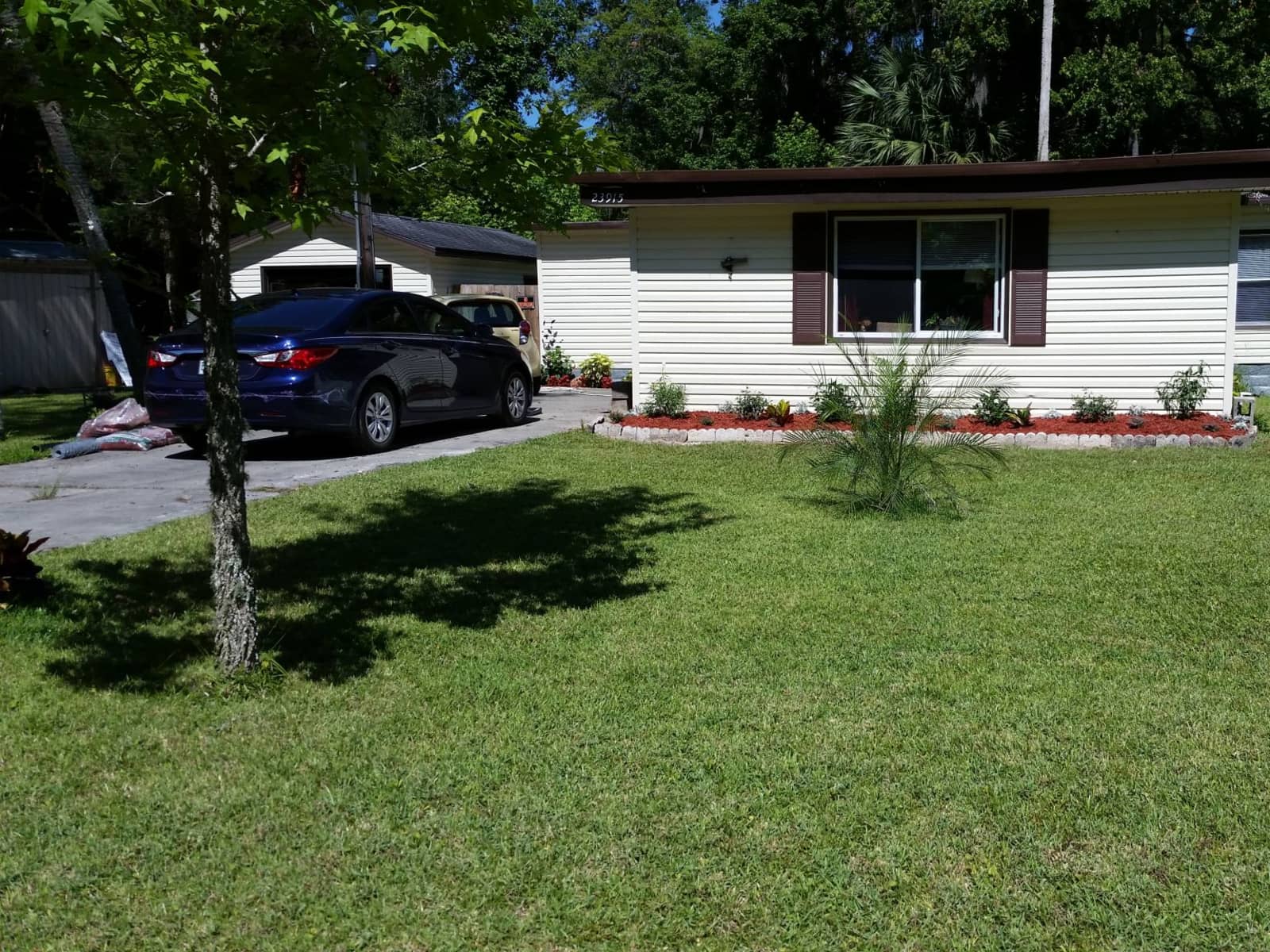 Housesitting assignment in Astor, Florida, United States