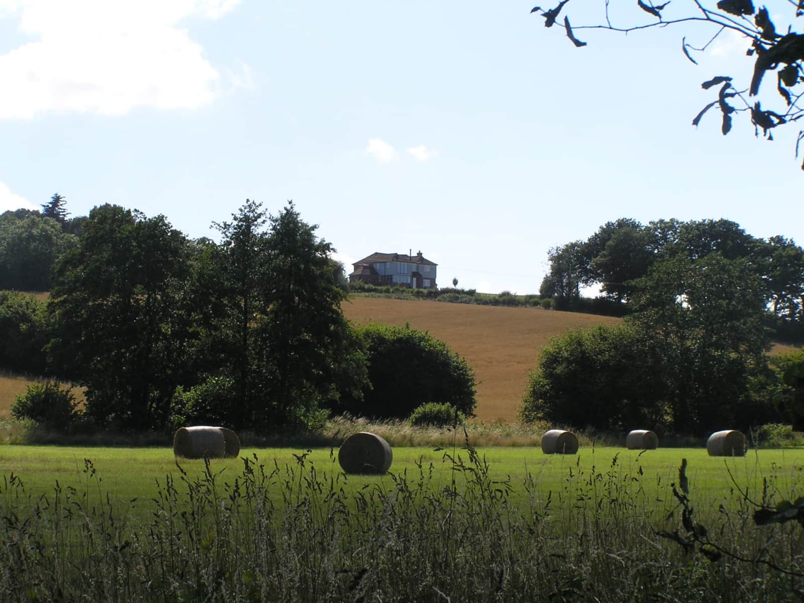 Housesitting assignment in Robertsbridge, United Kingdom