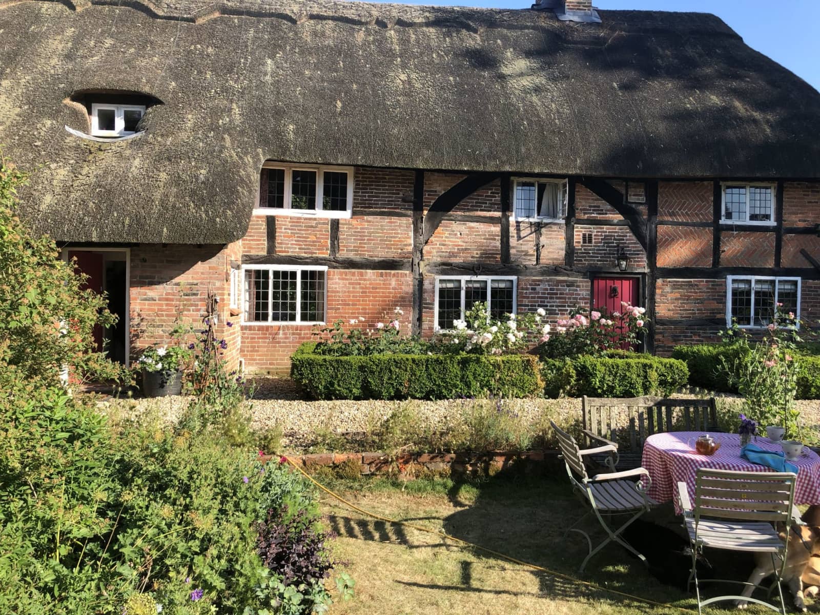 Housesitting assignment in Winchester, United Kingdom
