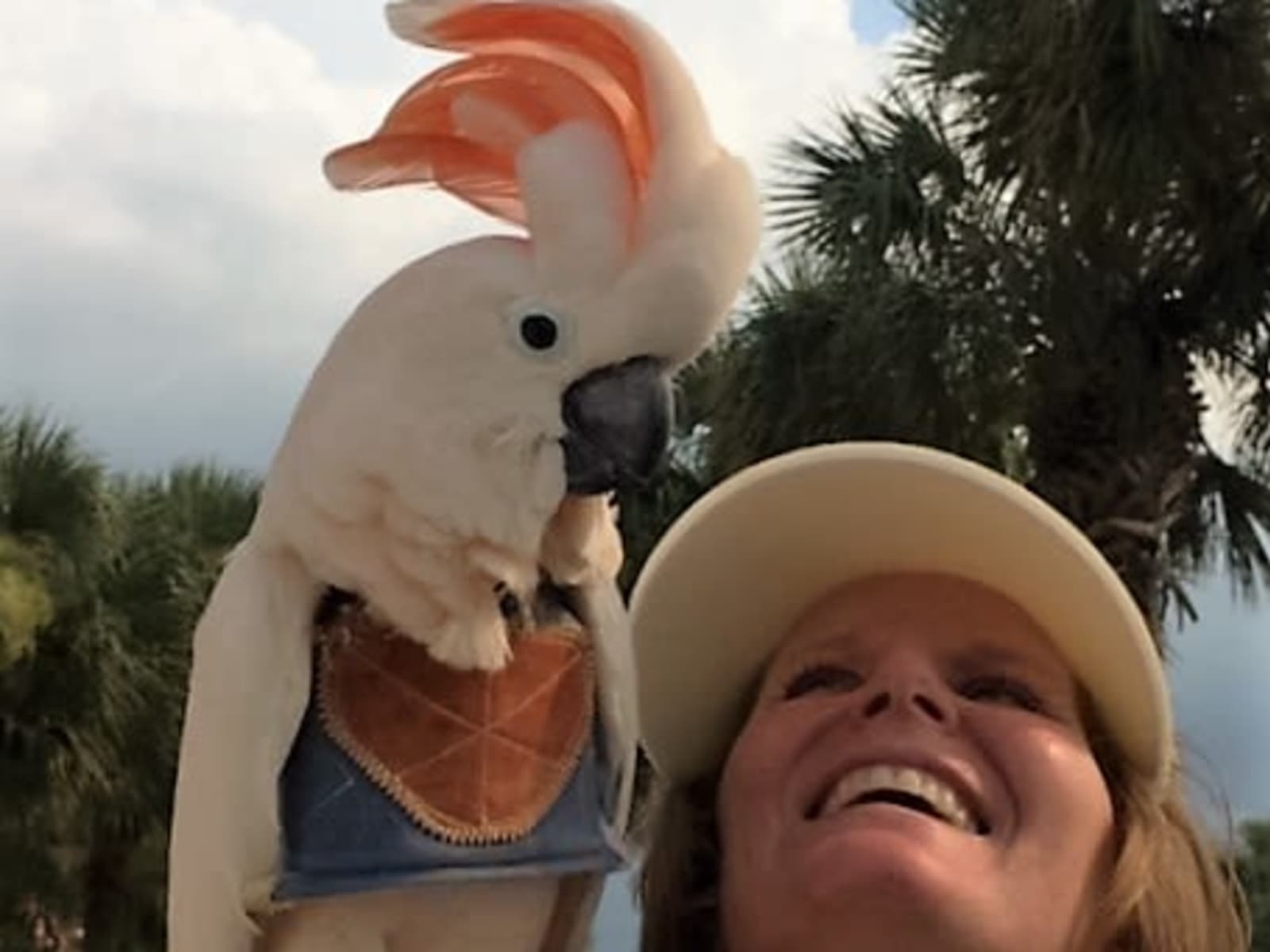 Housesitting assignment in Naples, Florida, United States