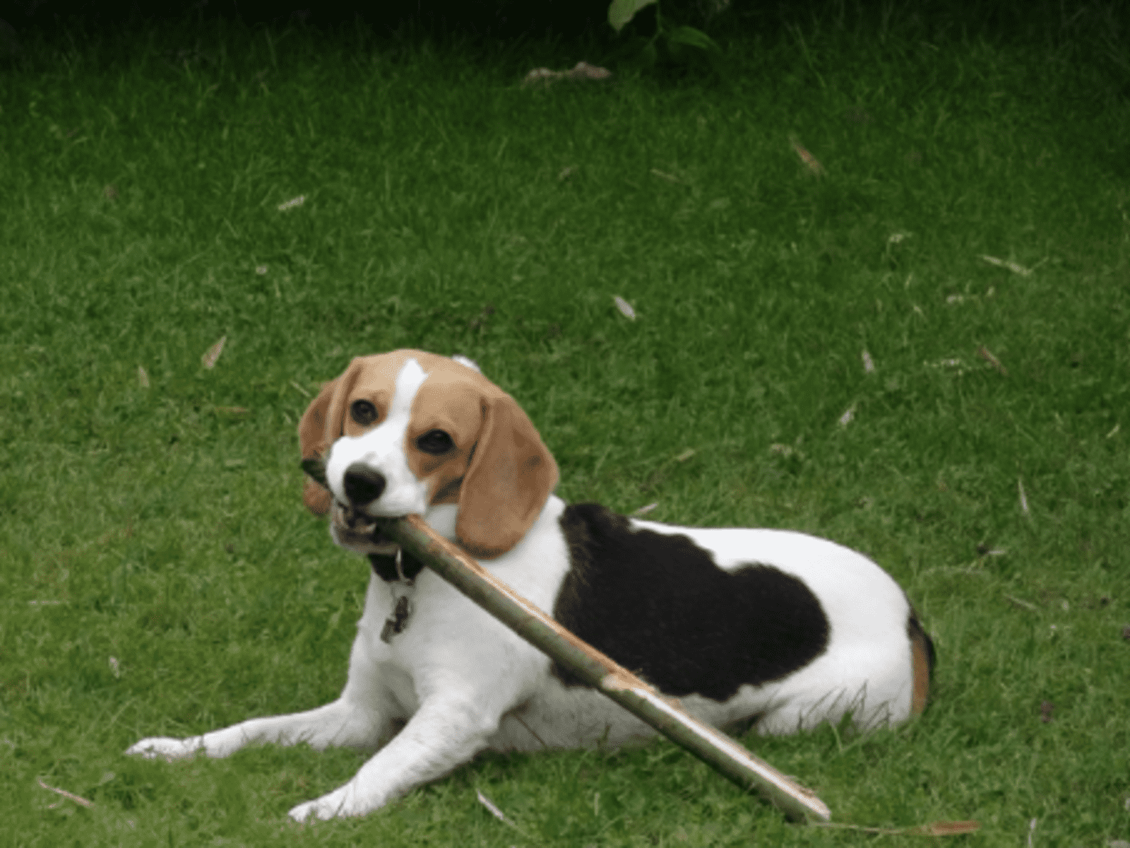 Esther from Karlsruhe, Germany