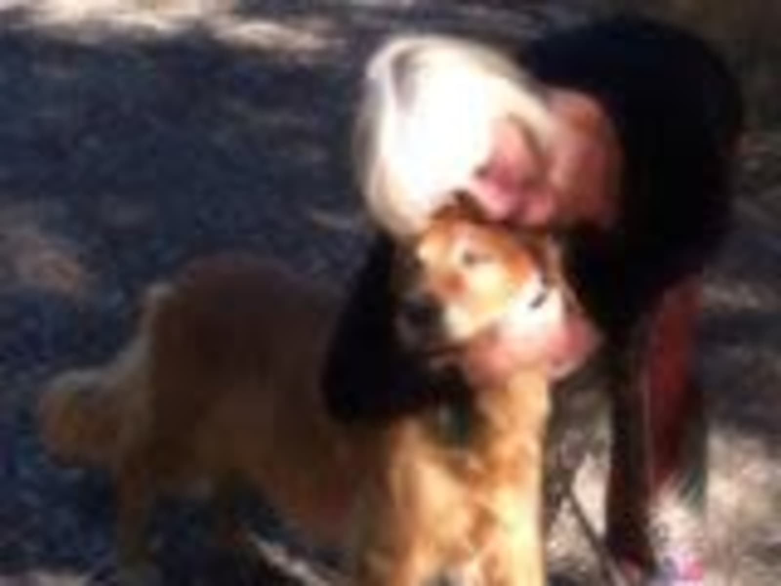 Geri from Union, Oklahoma, United States