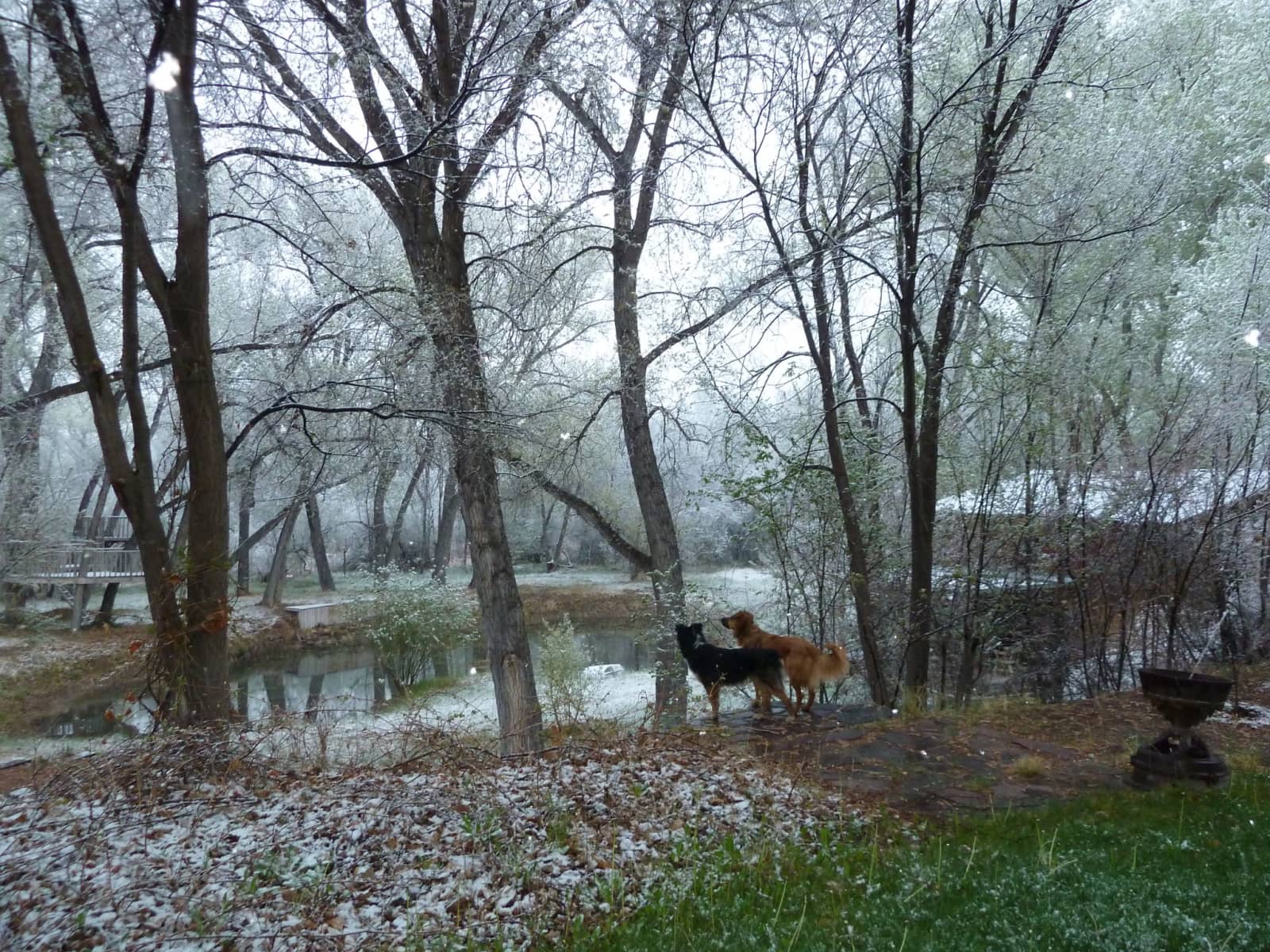 Housesitting assignment in Pojoaque, New Mexico, United States