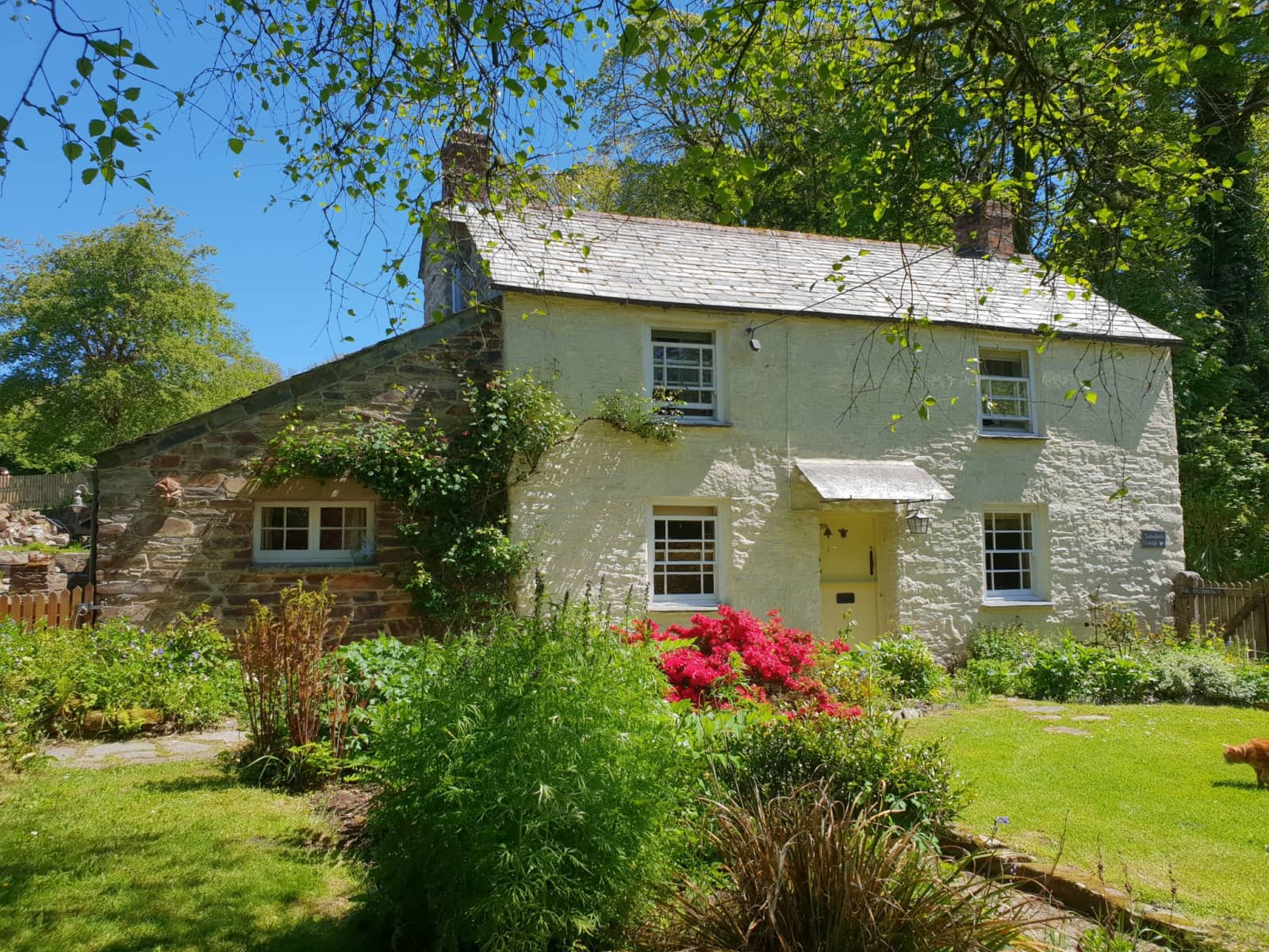 Housesitting assignment in Bodmin, United Kingdom