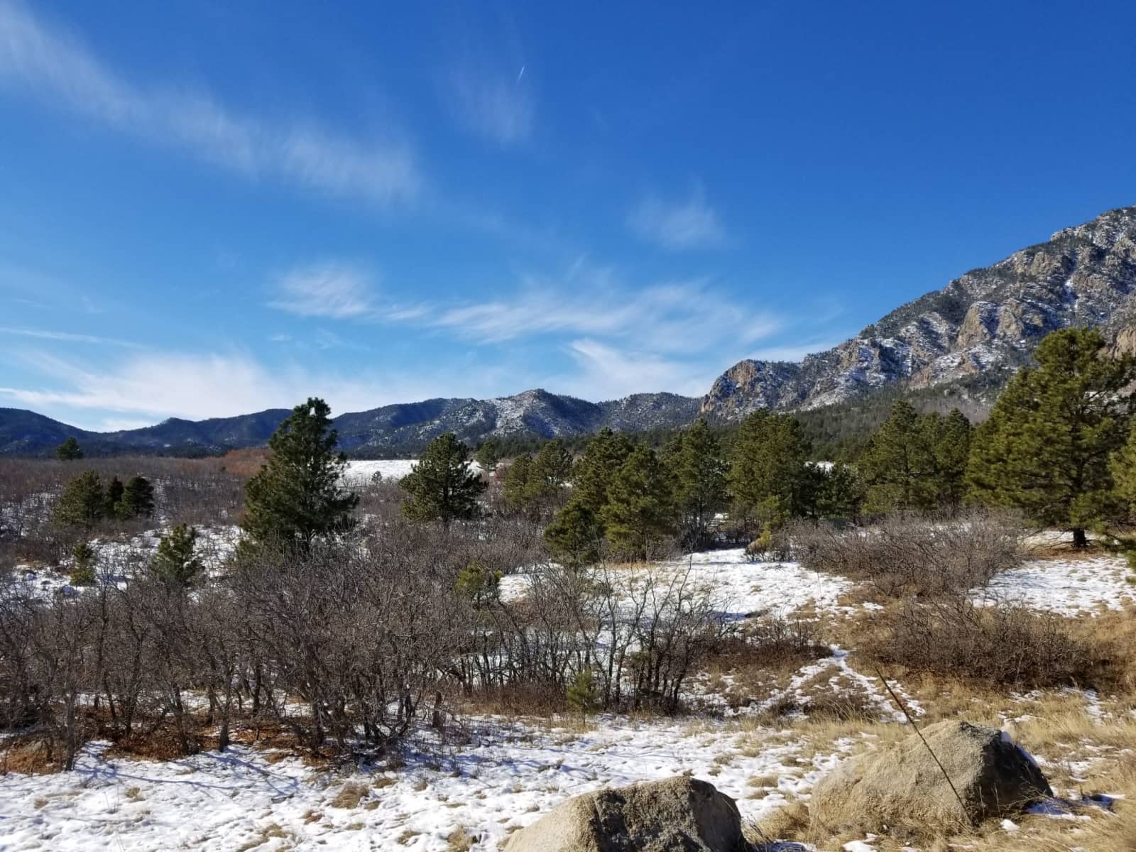 Housesitting assignment in Colorado Springs, Colorado, United States