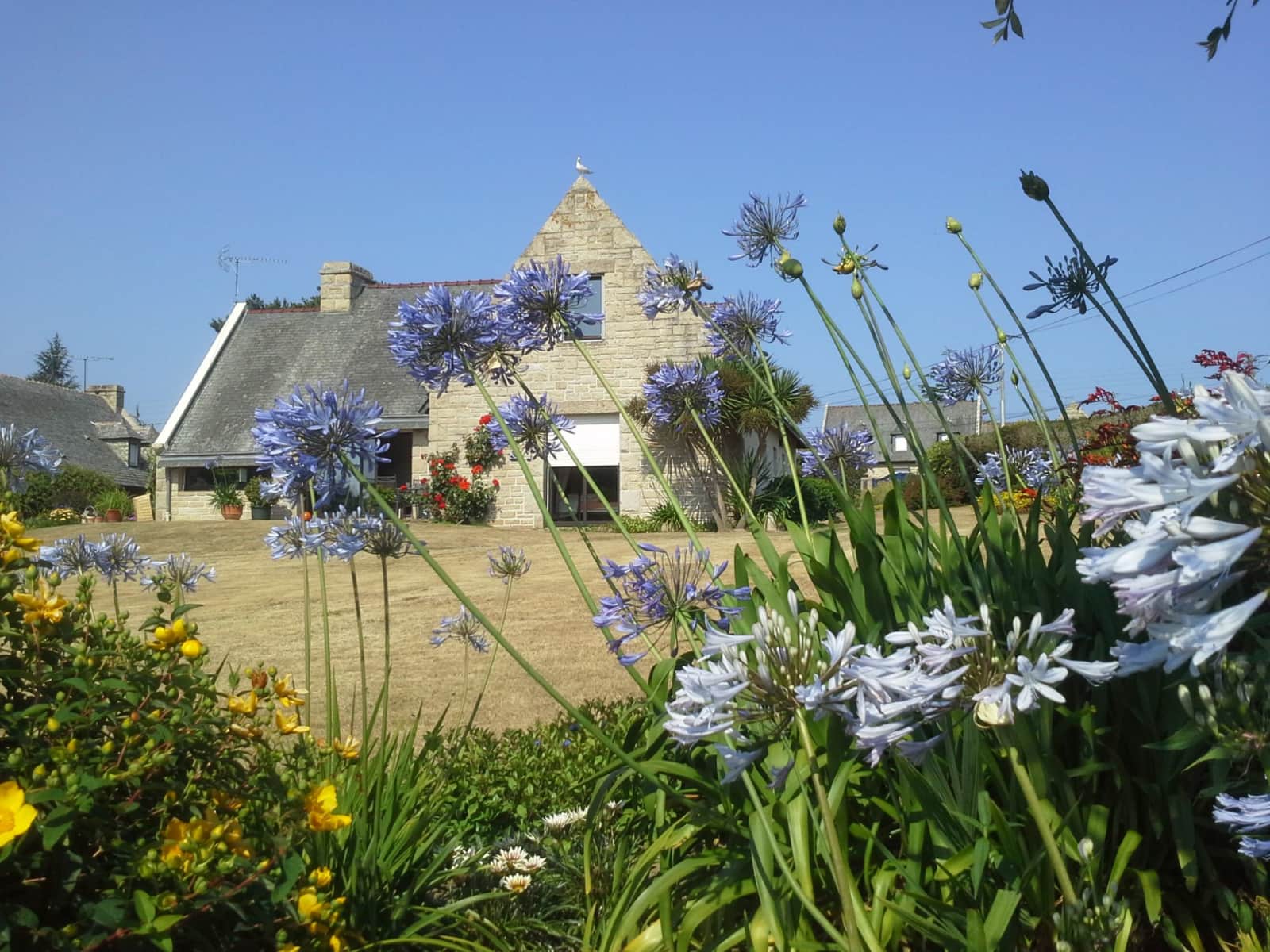 Housesitting assignment in Dinard, France