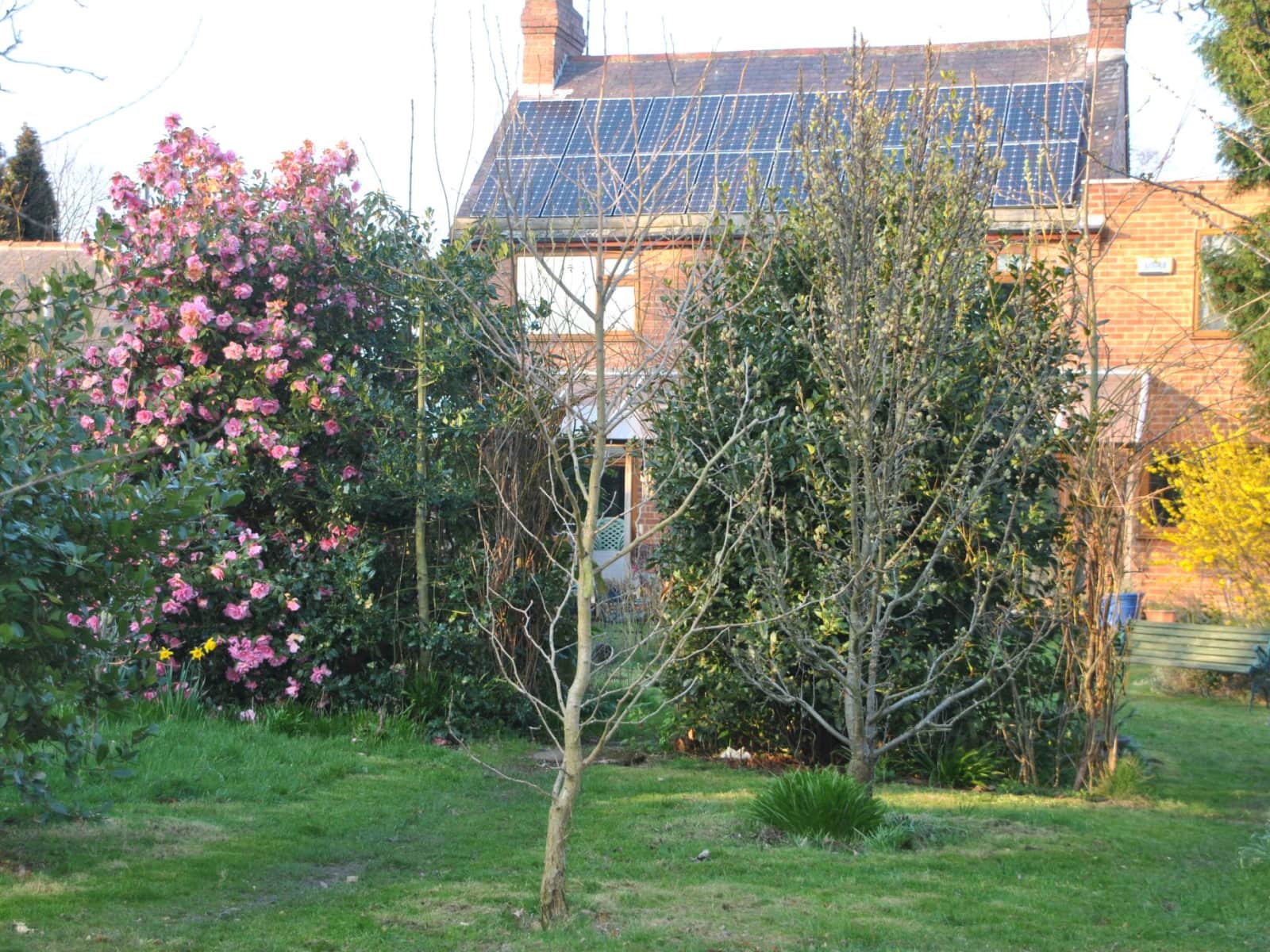 Housesitting assignment in Derby, United Kingdom