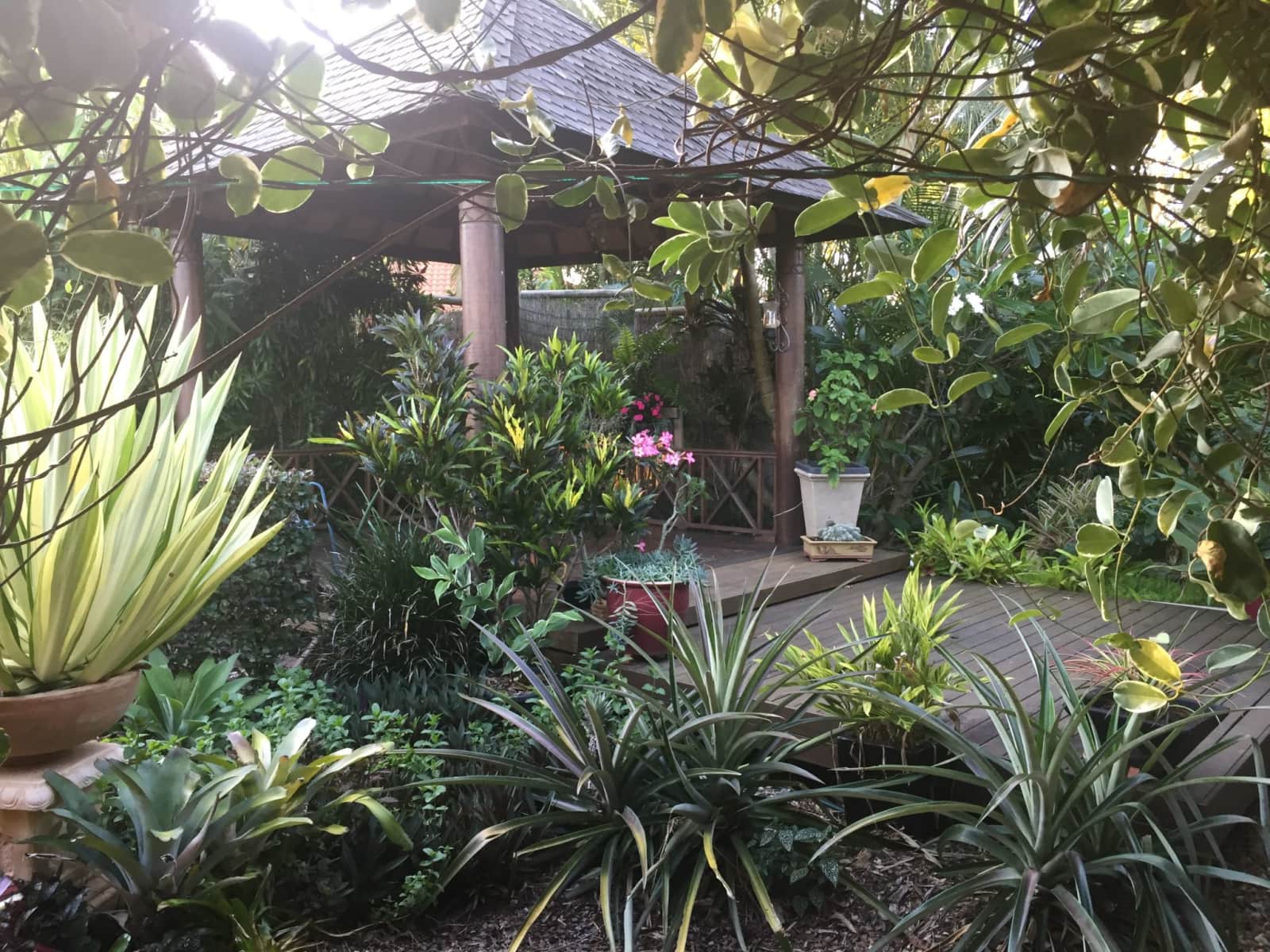 Housesitting assignment in Morayfield, Queensland, Australia