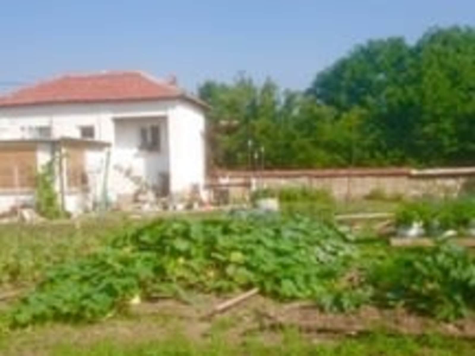 Housesitting assignment in Stara Zagora, Bulgaria