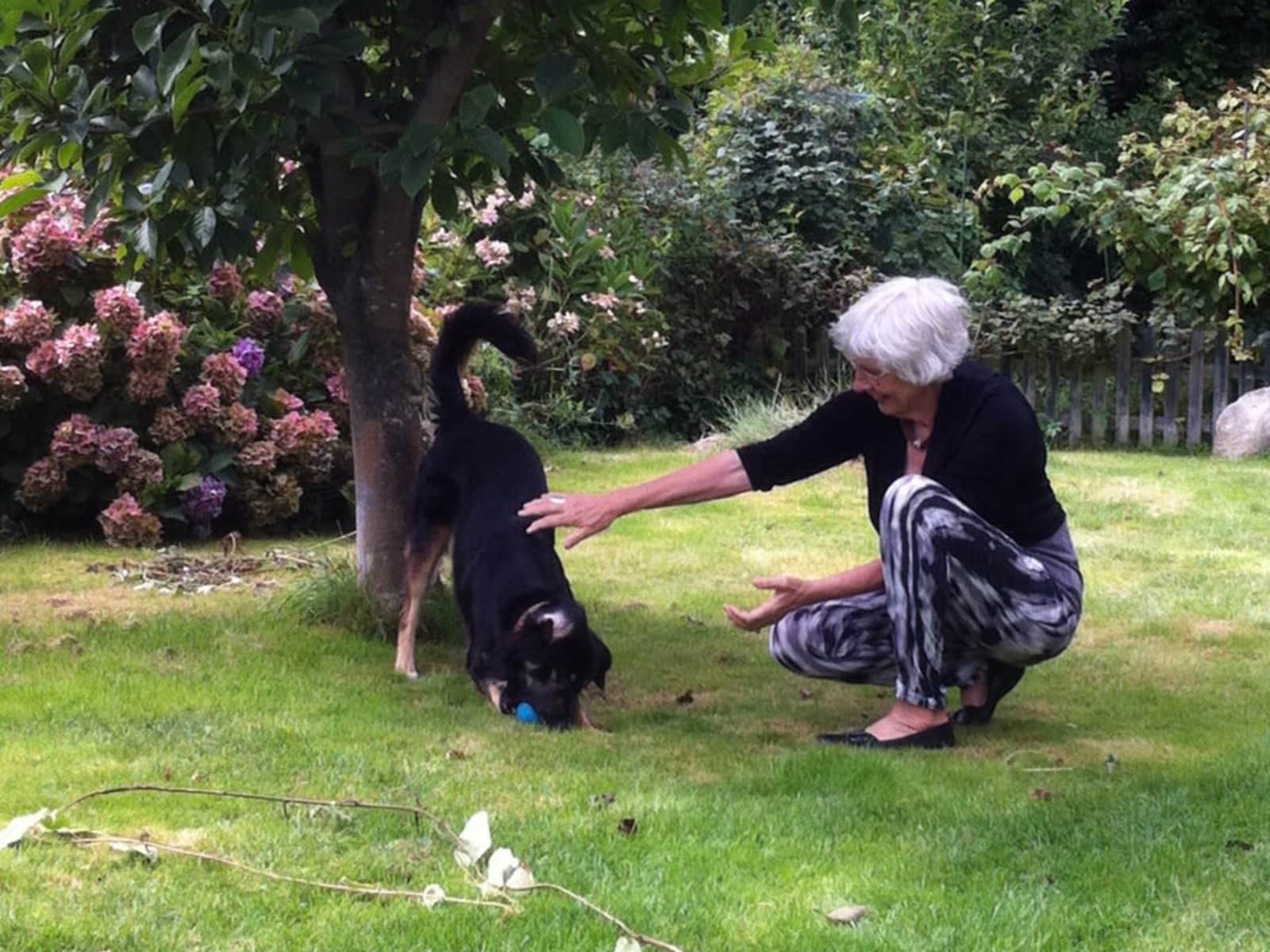 Marianne from Bergen op Zoom, Netherlands