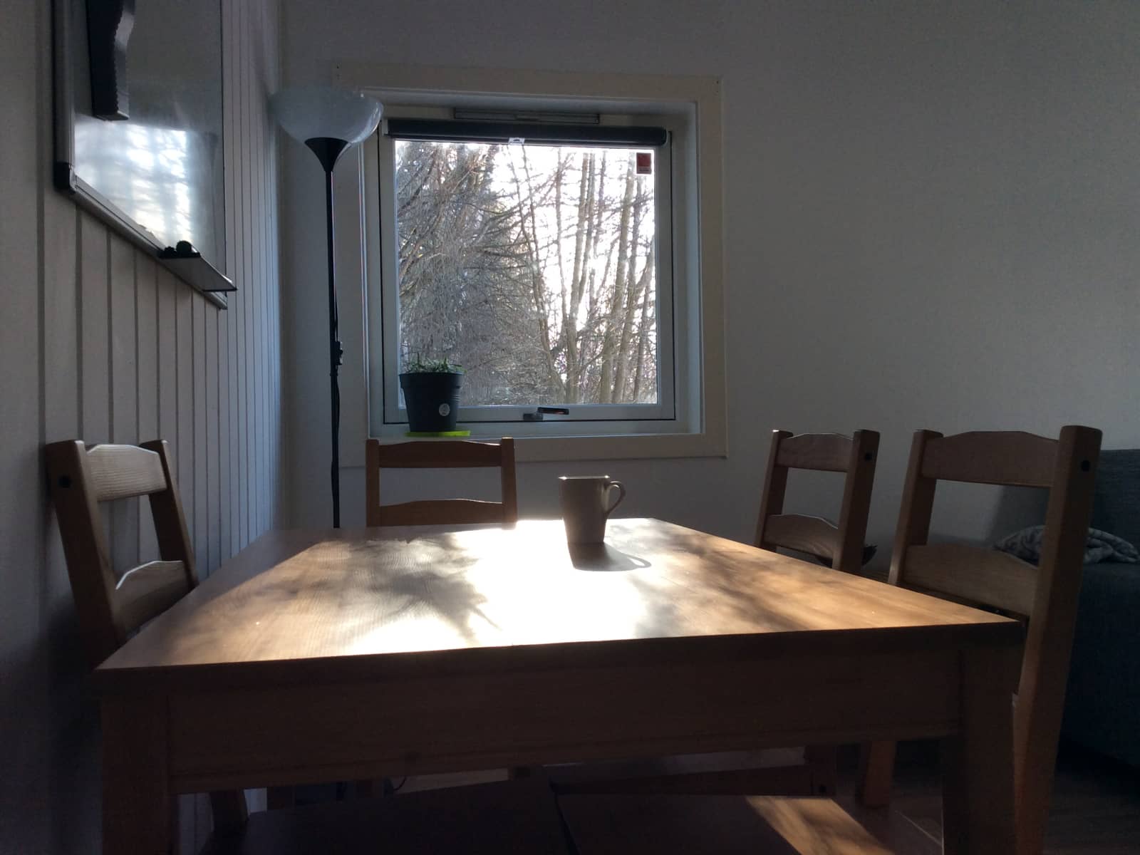 Housesitting assignment in Stovner, Norway