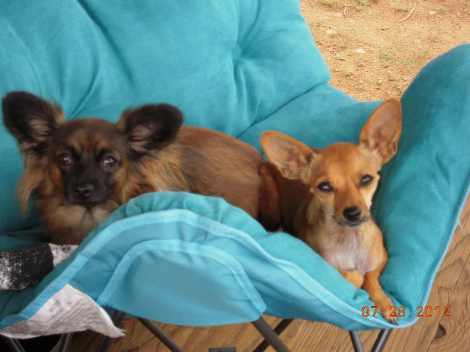 Kate & Sharon from Mesa, Arizona, United States