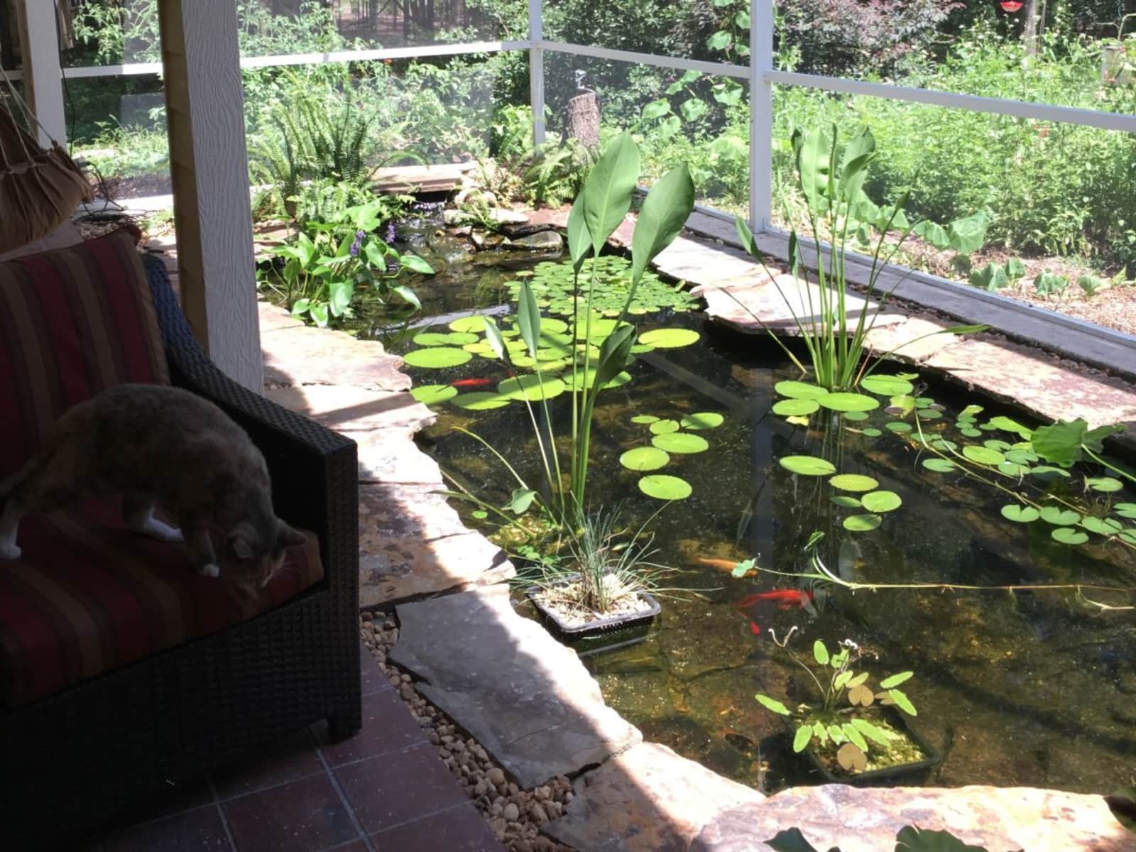 Housesitting assignment in Gainesville, Florida, United States