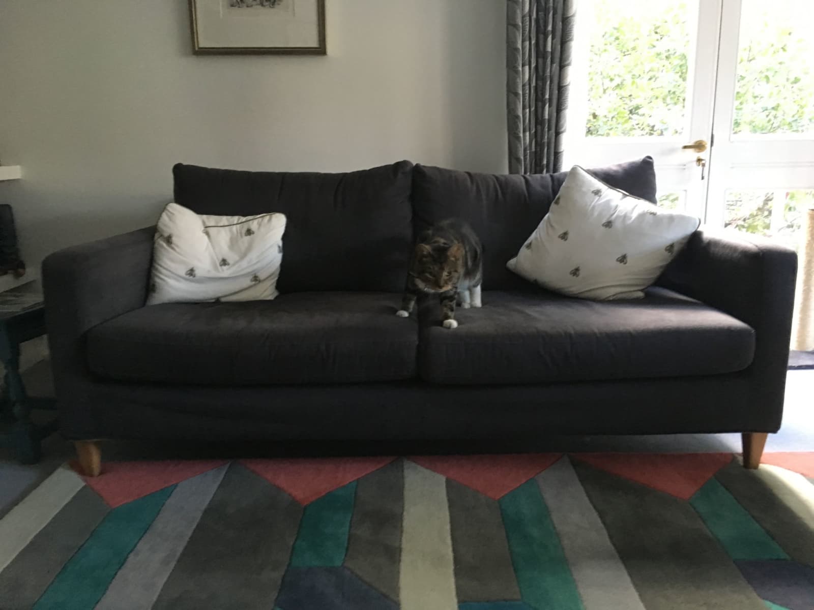 Housesitting assignment in London, United Kingdom