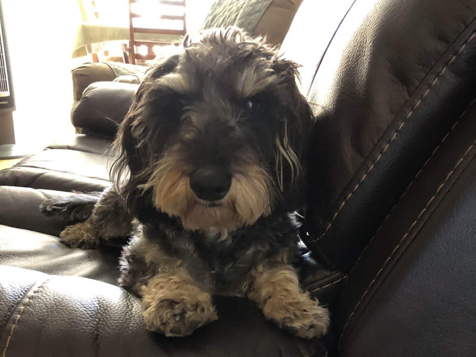 Deborah from Colorado Springs, Colorado, United States