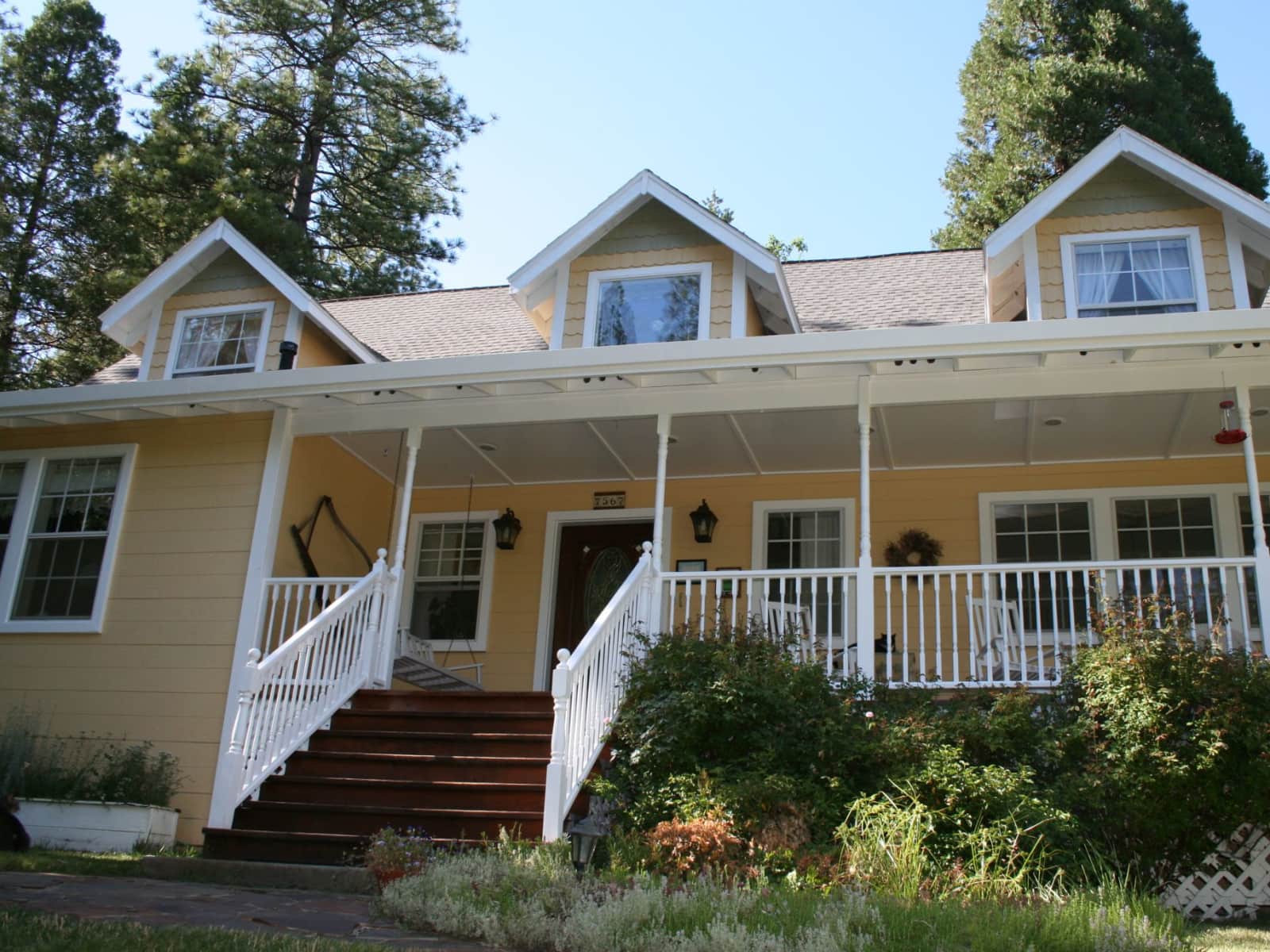 Housesitting assignment in Groveland, California, United States