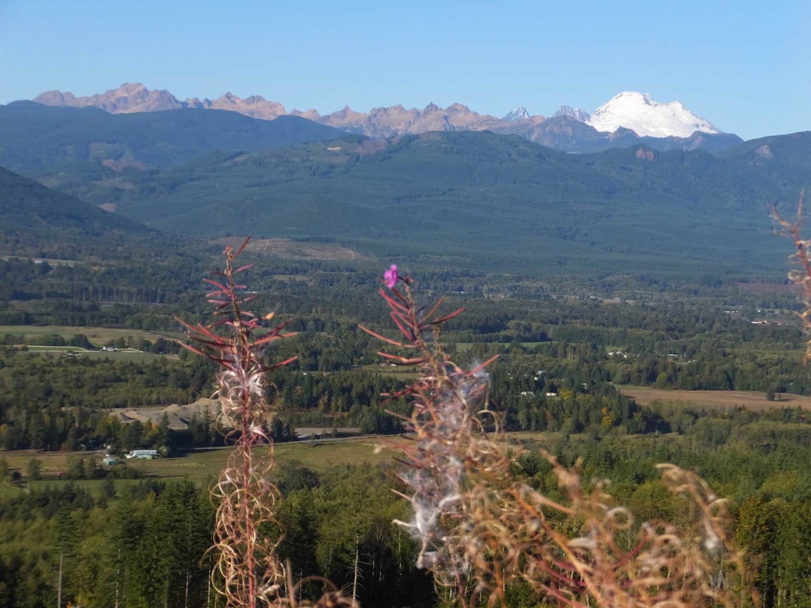 Housesitting assignment in Sedro-Woolley, Washington, United States