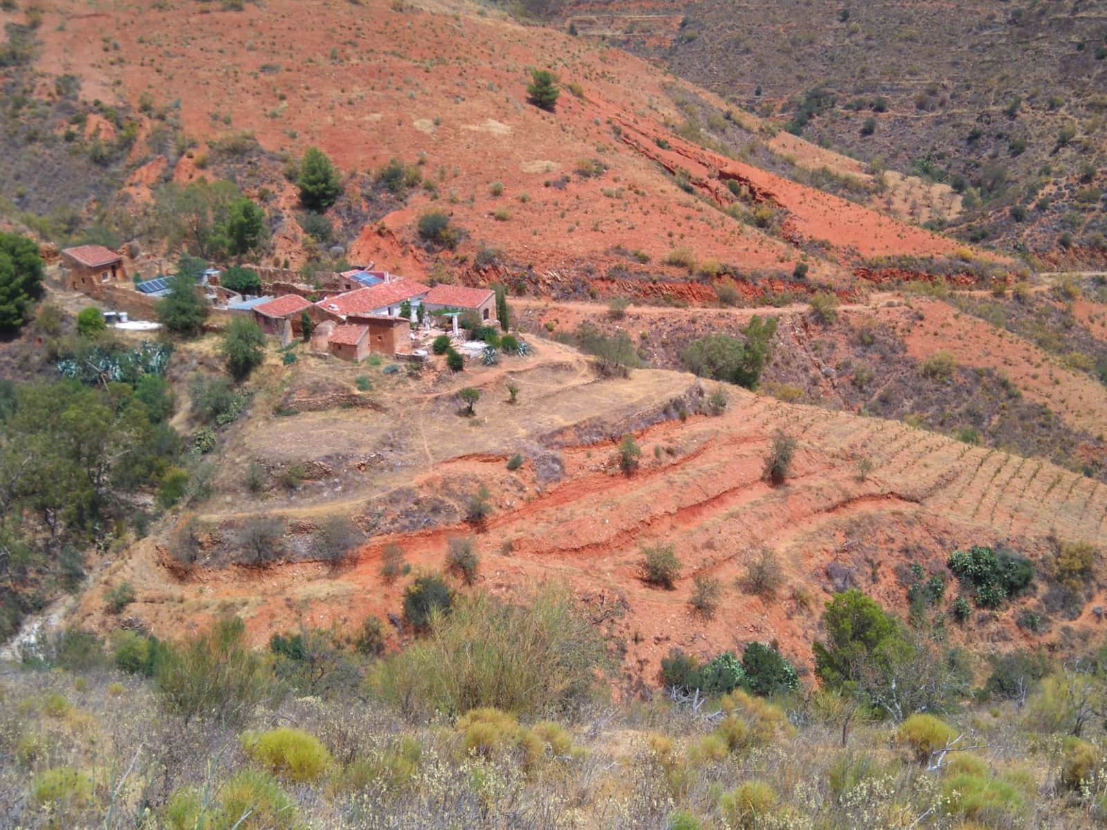 Housesitting assignment in Rubite, Spain
