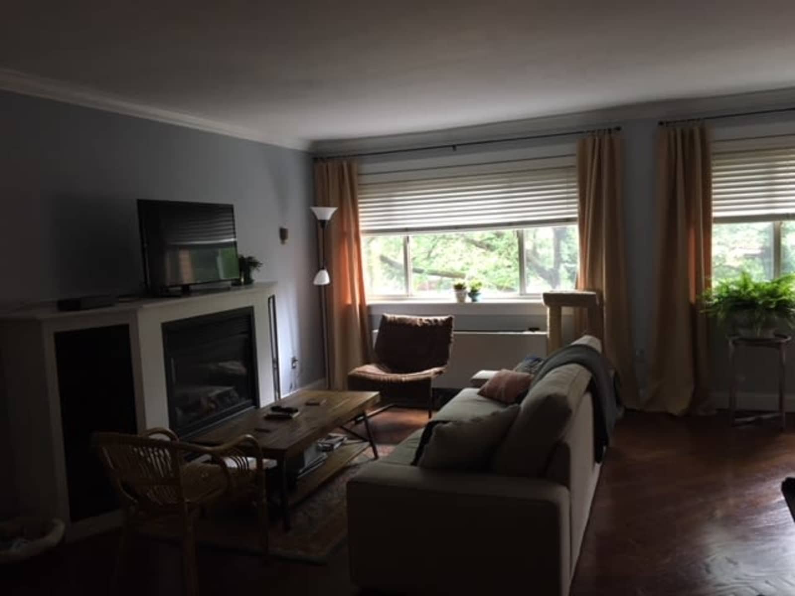 Housesitting assignment in Washington, D.C., Washington, D.C., United States