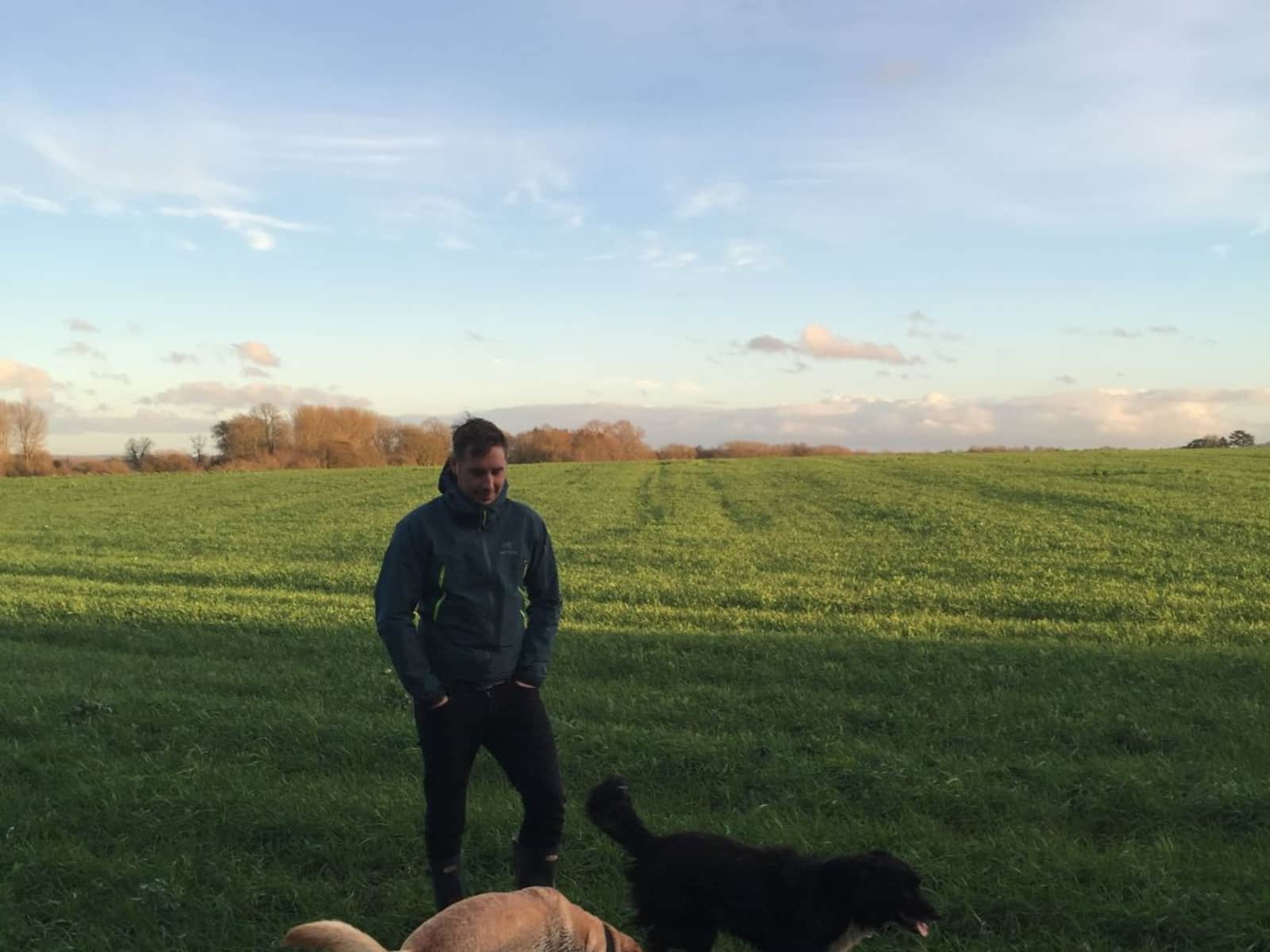 Simon from London, United Kingdom
