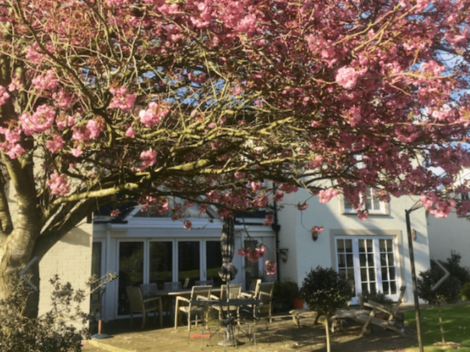 Housesitting assignment in Cirencester, United Kingdom