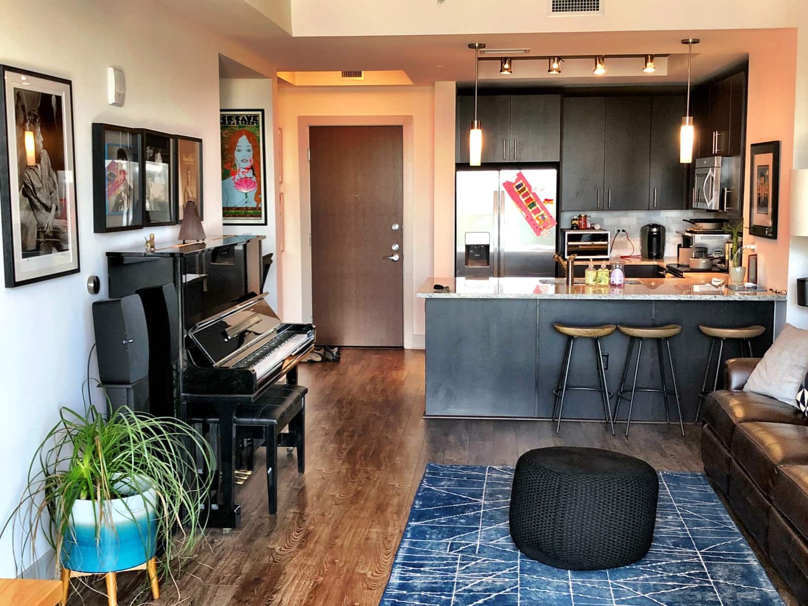 Housesitting assignment in Austin, Texas, United States