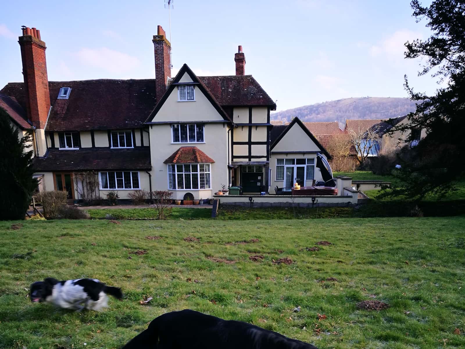 Housesitting assignment in Great Malvern, United Kingdom
