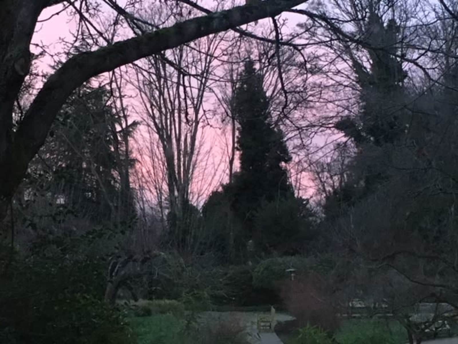 Housesitting assignment in Seattle, Washington, United States