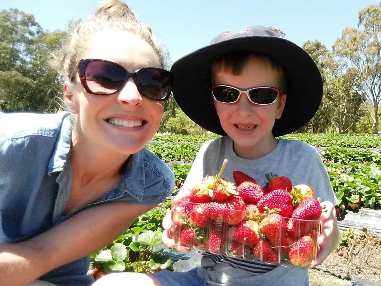 Heather from Holden Hill, South Australia, Australia